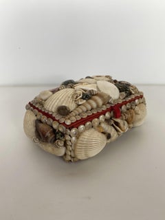 Amerikanische moderne Muschelkiste