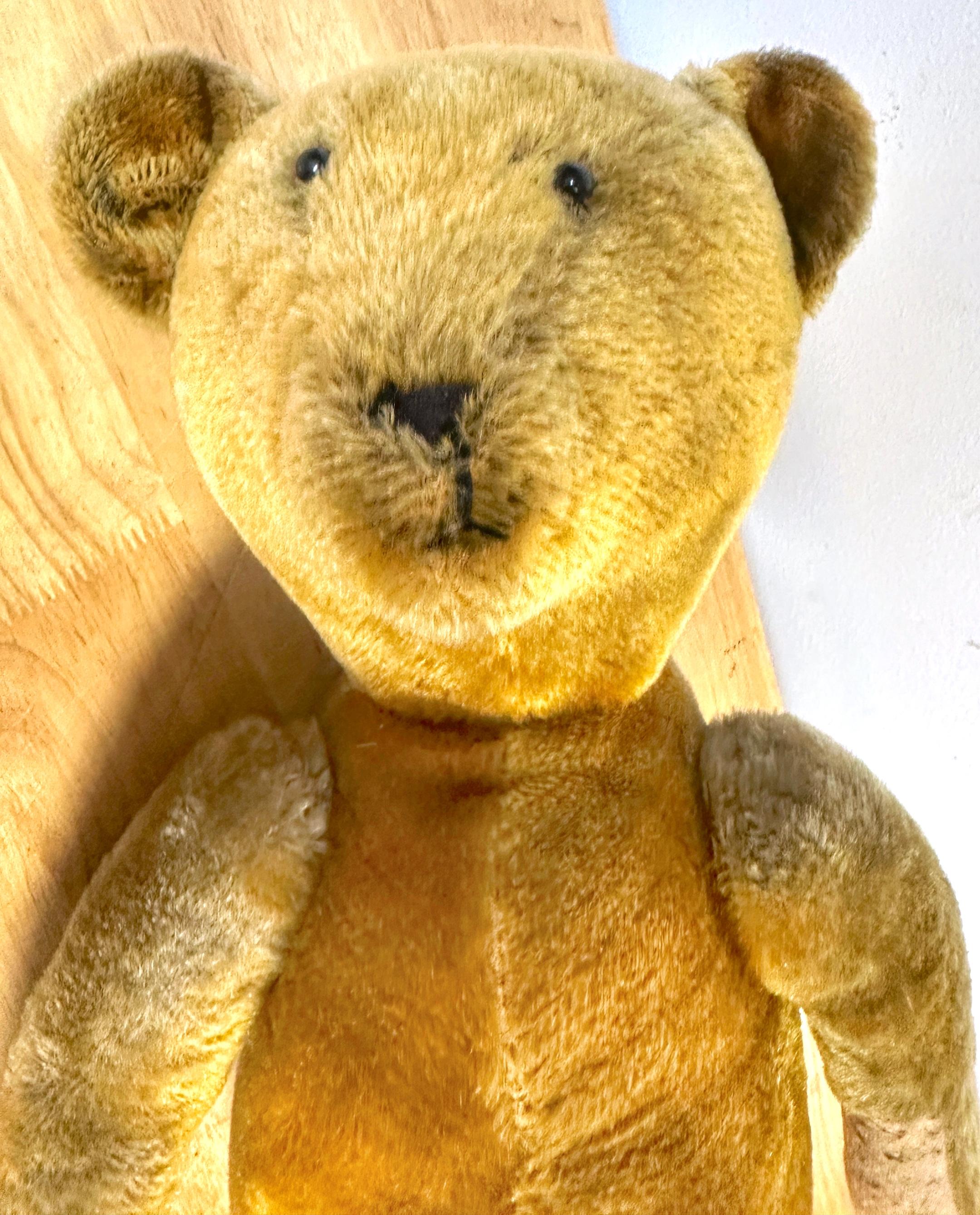 Amerikanischer Mohair & Stroh Teddybär mit Zapfennase, 'Franklin' im Angebot 6