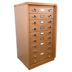 American Museum Collection Ten-Drawer Specimen Cabinet