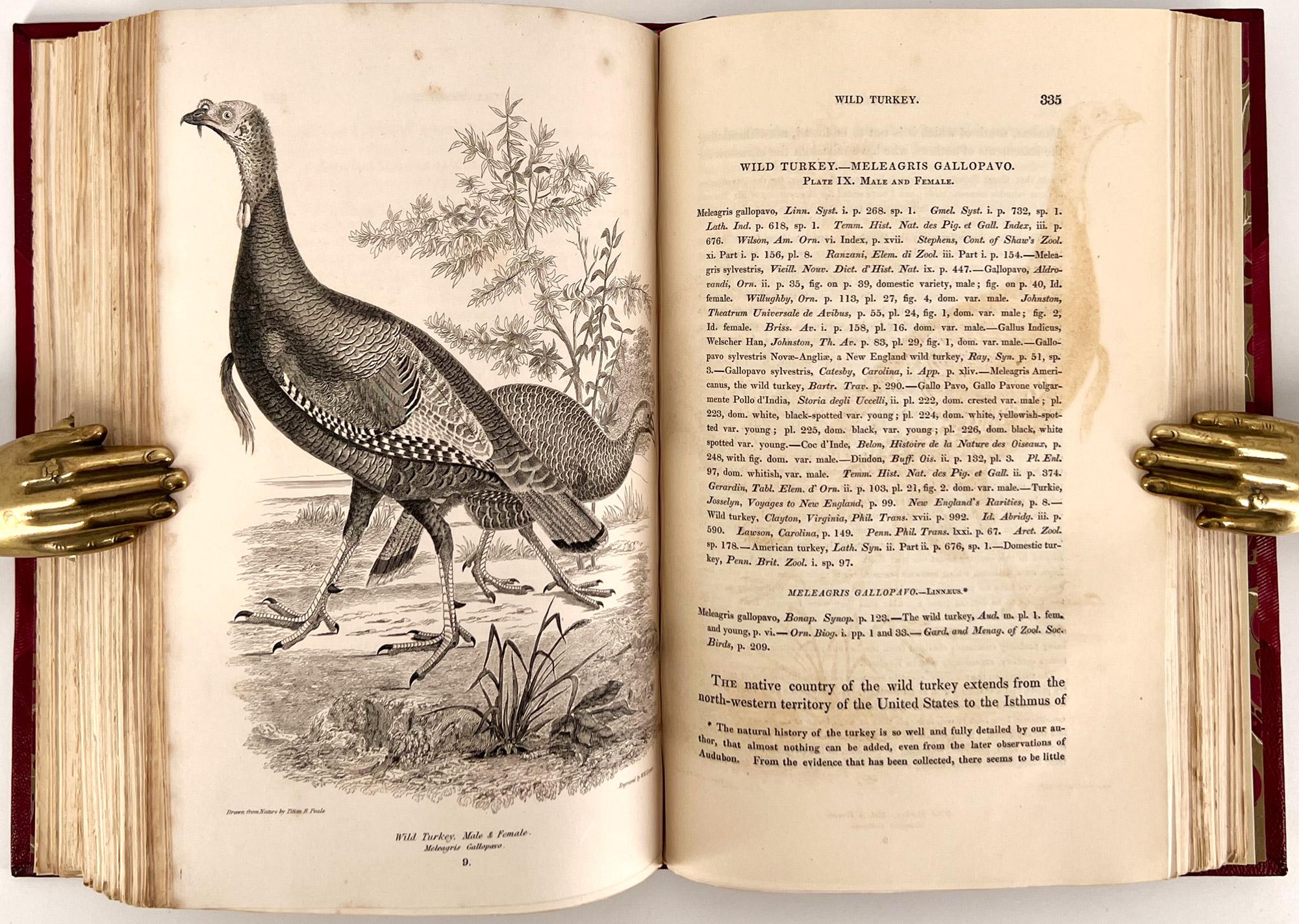Anglais Ornithologie américaine ; ou l'histoire naturelle des oiseaux des États-Unis en vente