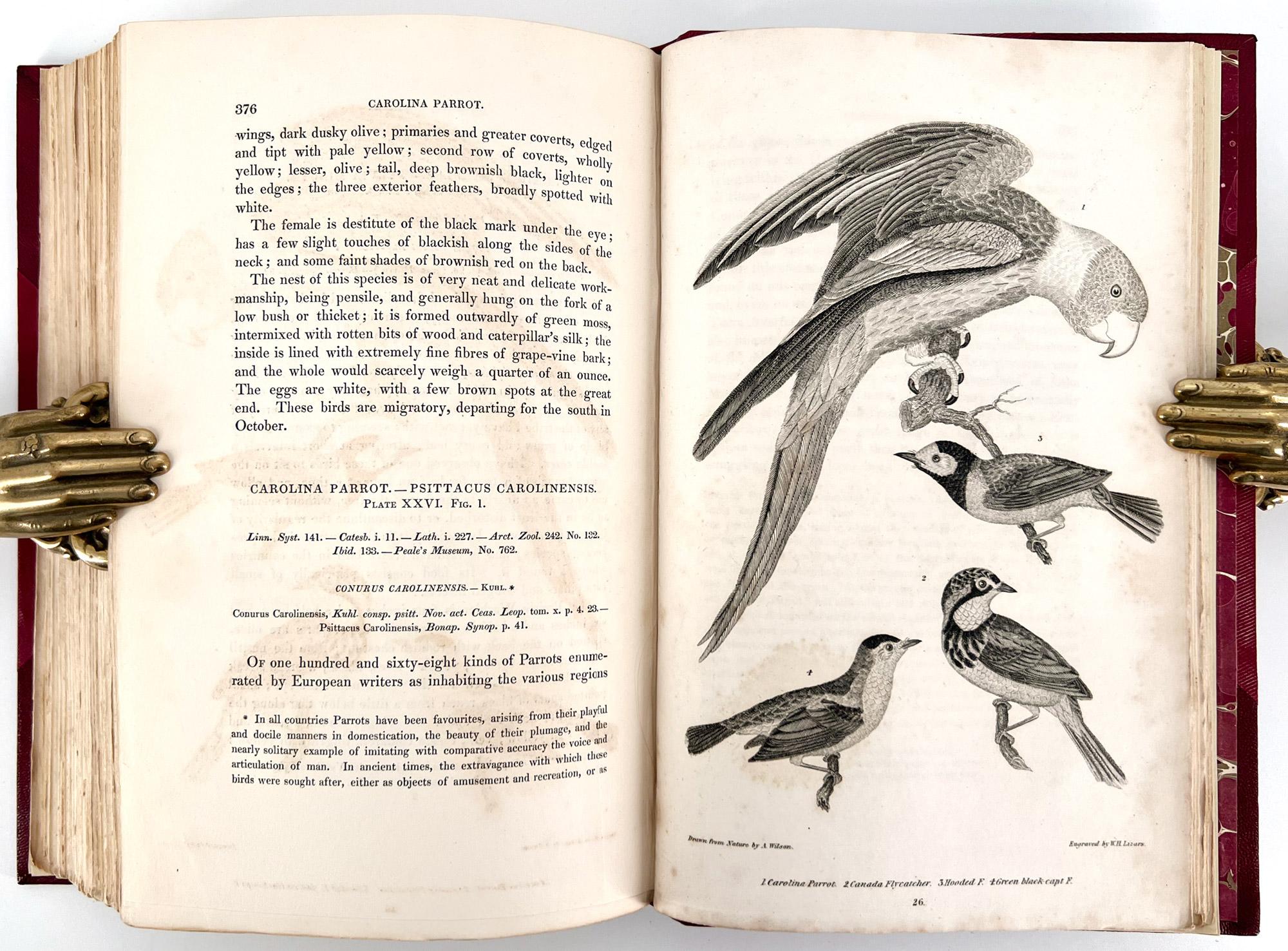 Ornithologie américaine ; ou l'histoire naturelle des oiseaux des États-Unis Excellent état - En vente à Middletown, NY