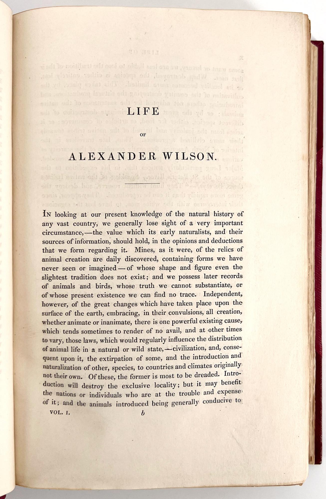 Ornithologie américaine ; ou l'histoire naturelle des oiseaux des États-Unis en vente 1
