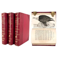 Altri mobili e oggetti da collezione