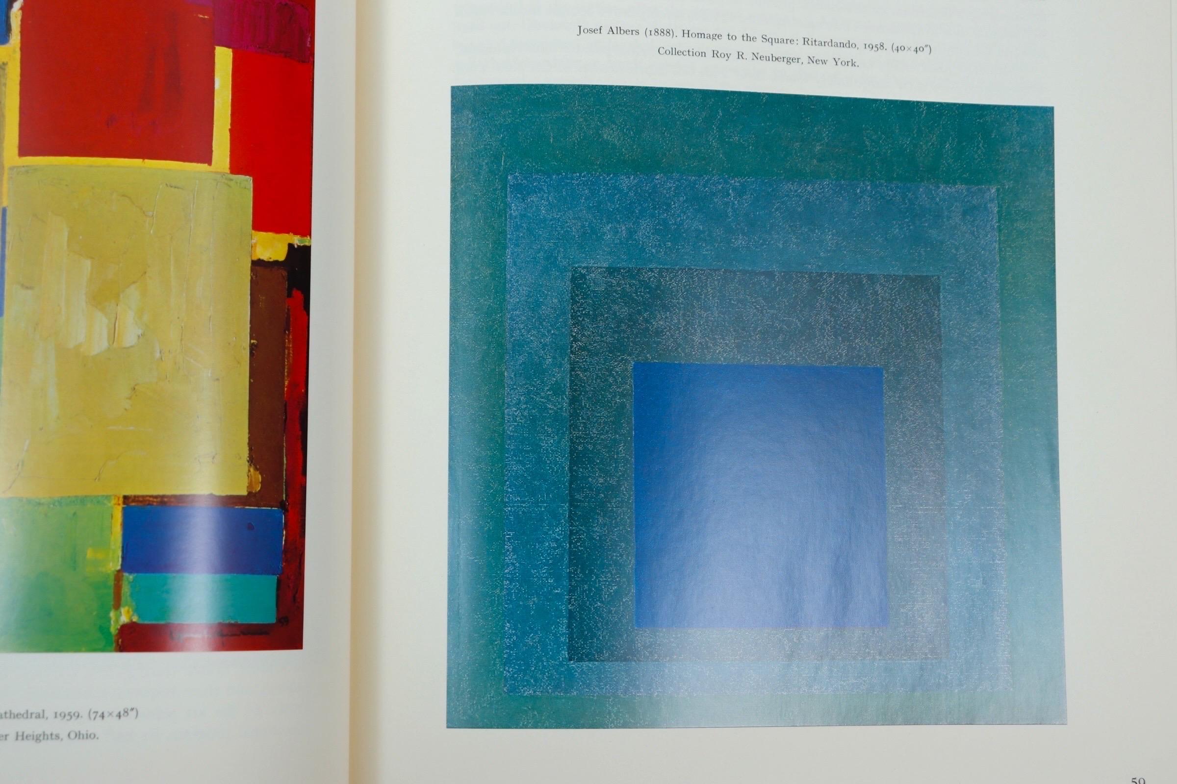 American Painting - Boxed Set of 2 Books For Sale 4