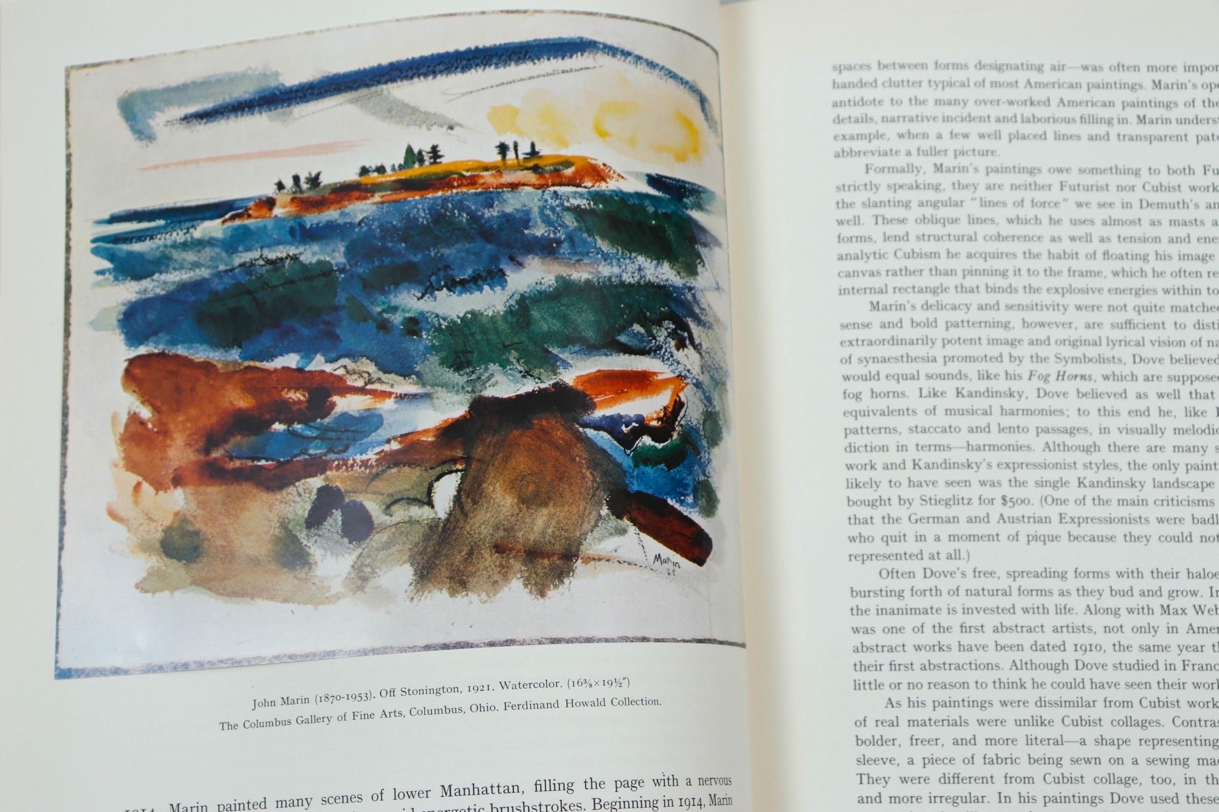 American Painting - Boxed Set of 2 Books For Sale 3