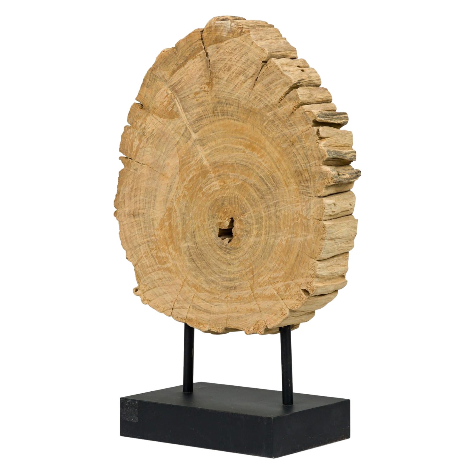 American Petried Wood Table Sculpture For Sale