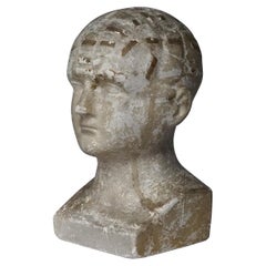 American Phrenology head of Fowlers & Wells Phrenological Cabinet New York