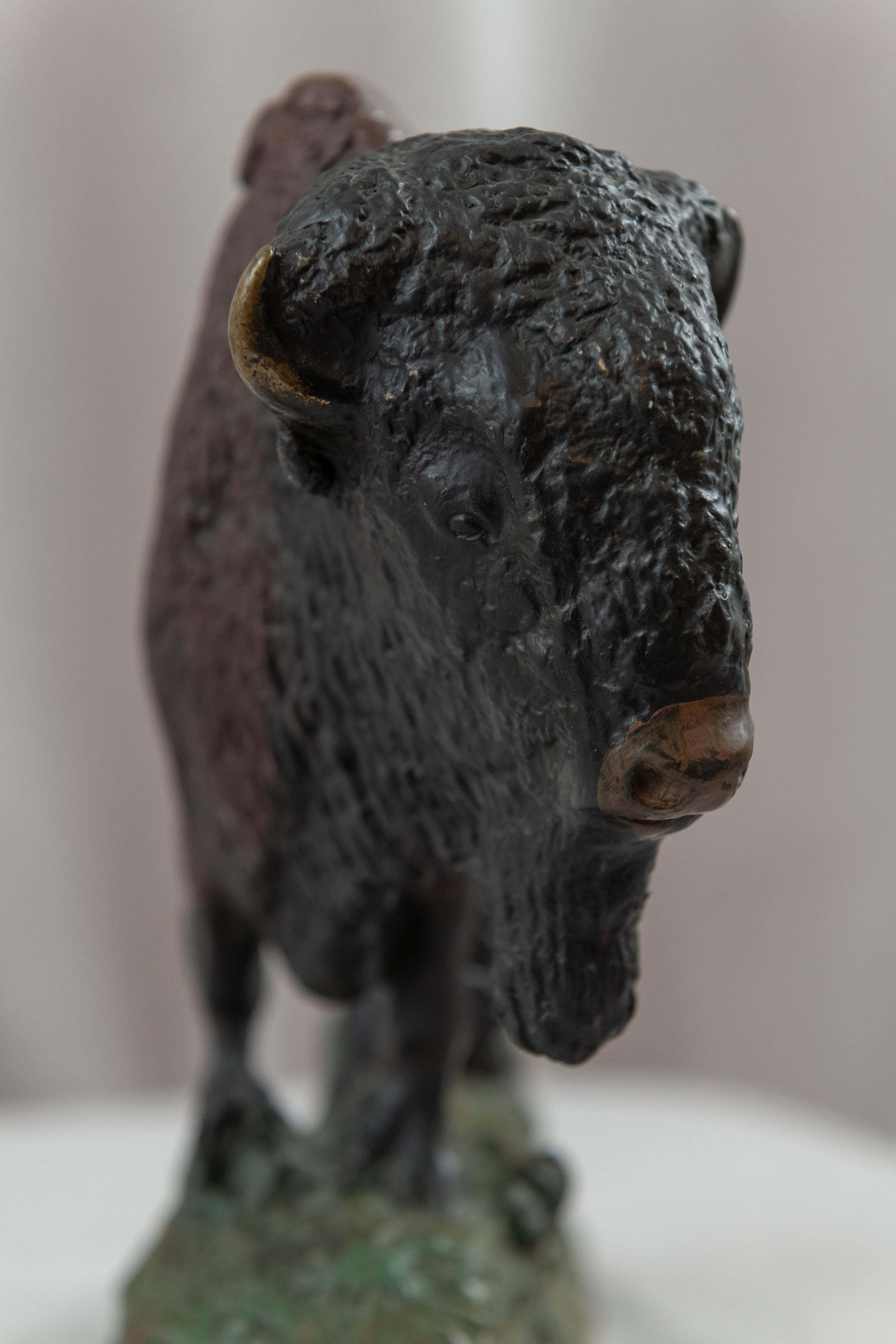 American Polychrome Bronze Bison, Artist Signed, Dated 1914 For Sale 3