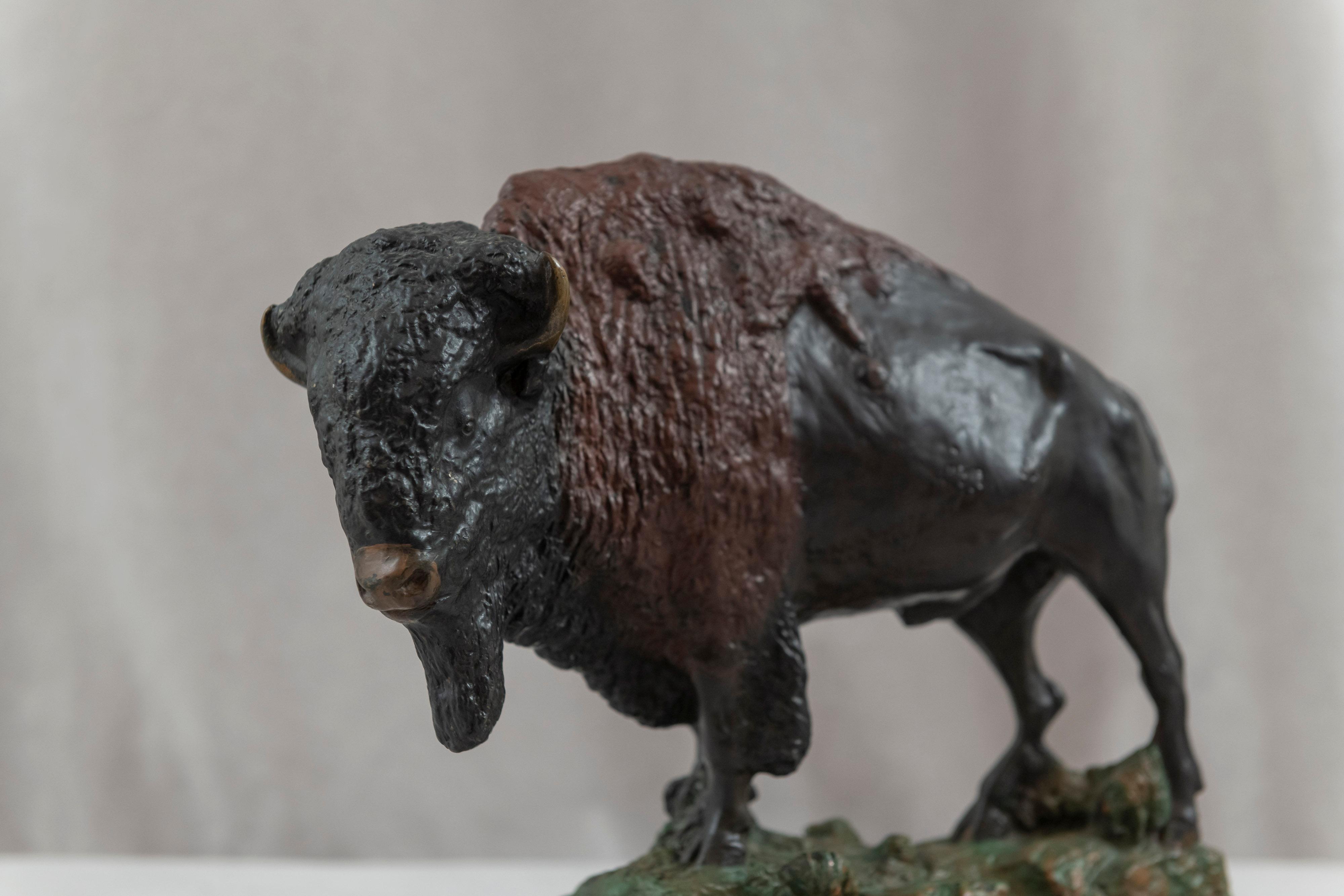 This well modeled bronze figure of a bison is a fine example of this sought after animal who conjures up memories of the old west. Good sized, heavy and a luscious 2 color patina all are here.
 Artist signed and dated 1914. A great sculpture and