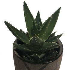 American Post-War Di Pasquale Grey Geometric Textured Vase