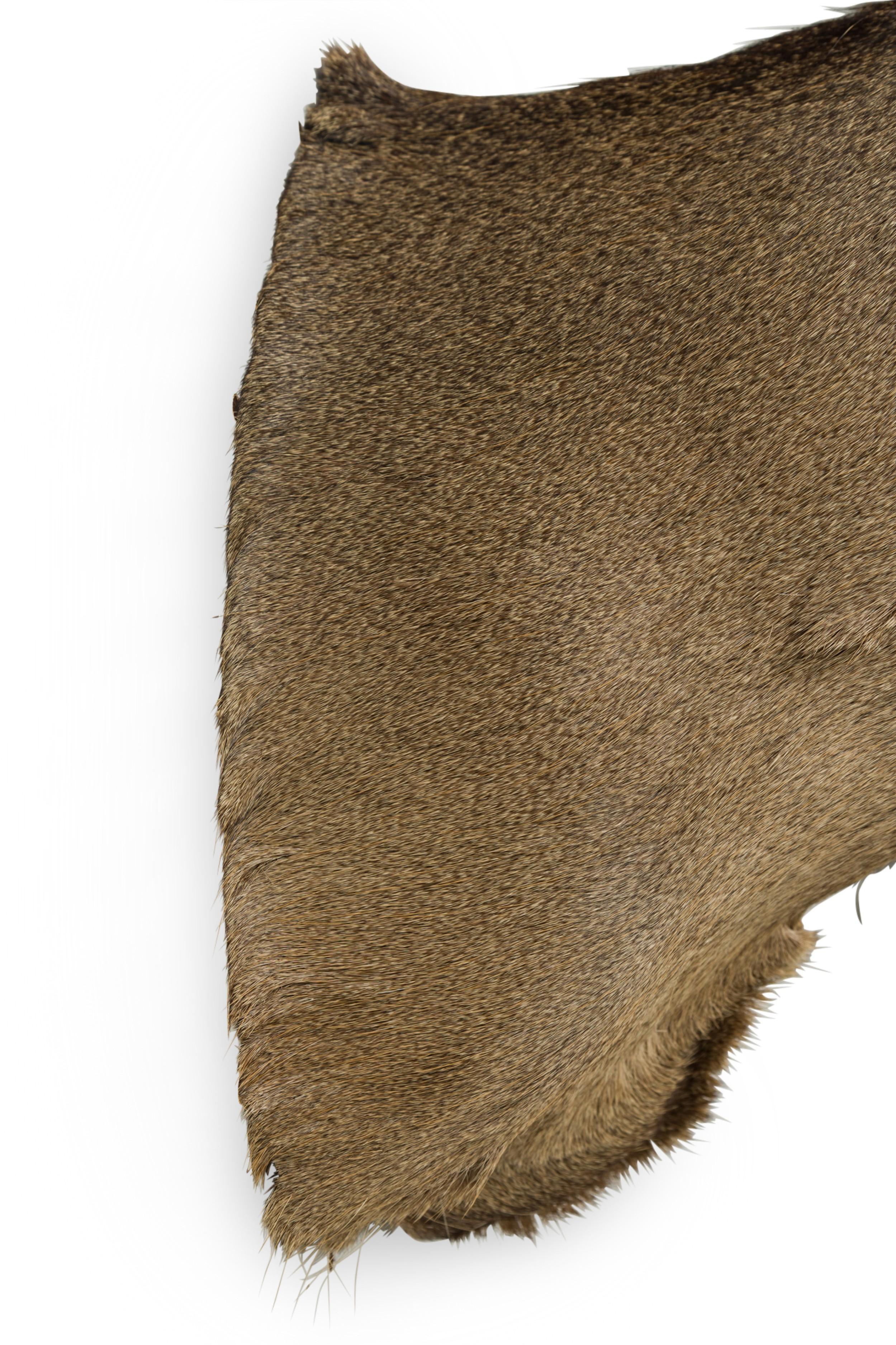 Palco Tassidermia rustica americana di una testa di cervo grigio in vendita