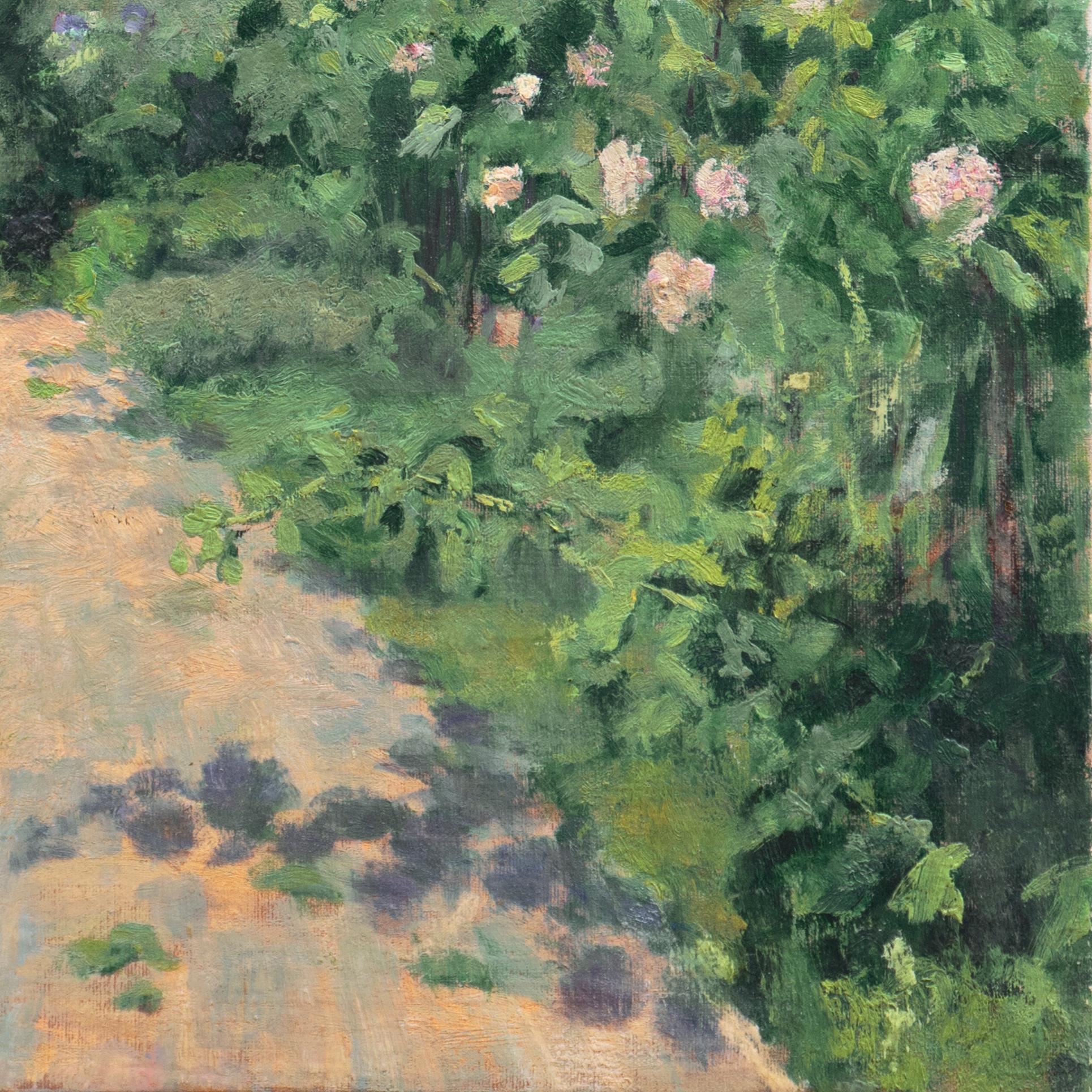 Country Lane