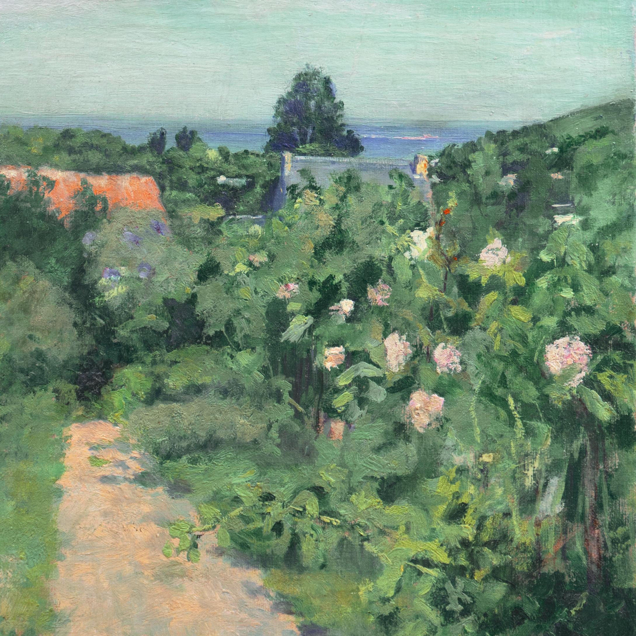 Country Lane