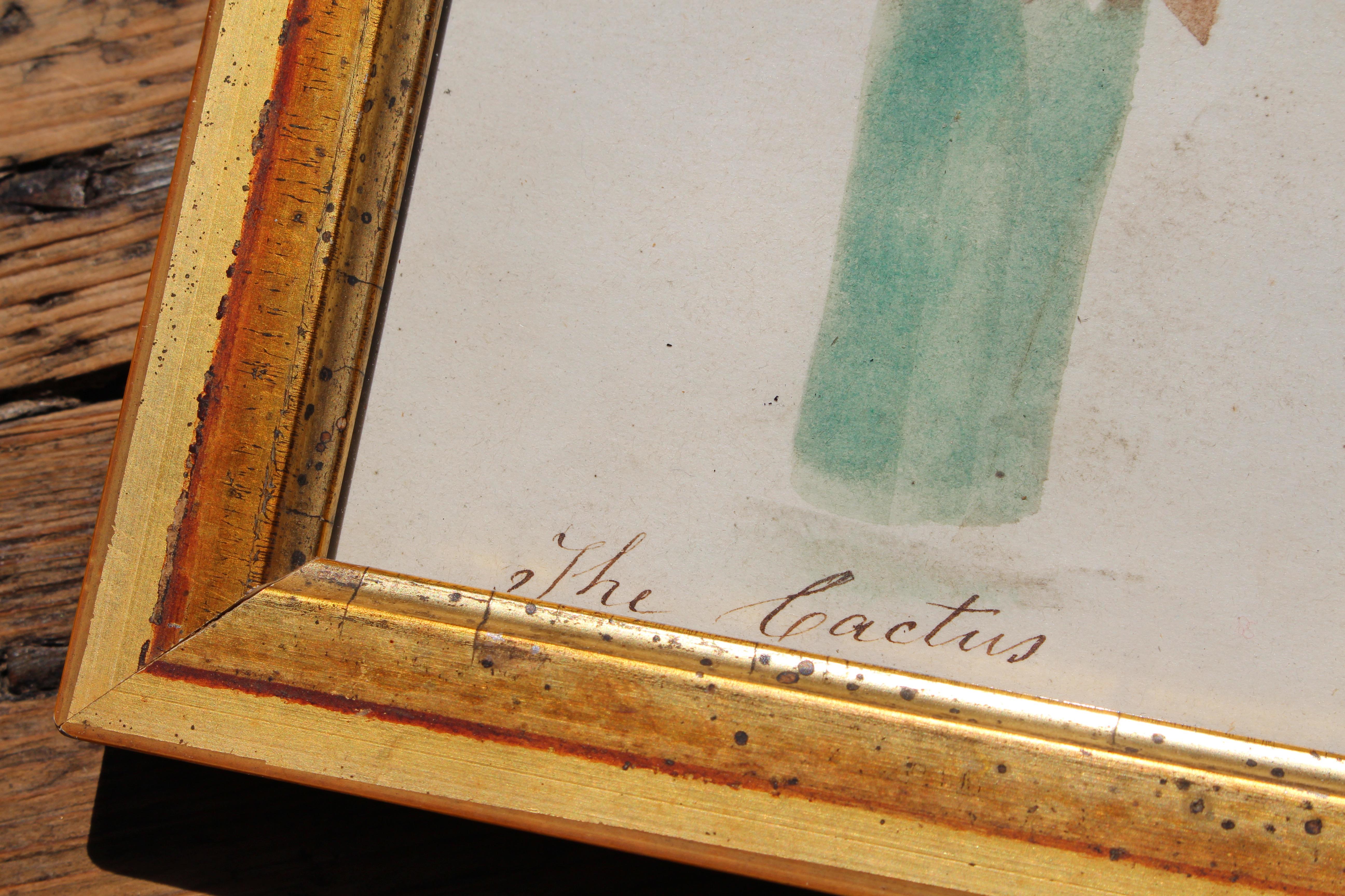 Escuela Americana Circa 1840 Teorema Pintura De Un Cactus Marco De Giltwood Arte Popular siglo XIX en venta