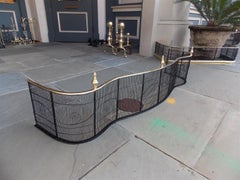 American Serpentine Brass Finial and Artistic Wire Work Fire Fender, Circa 1810