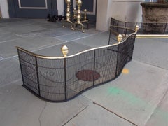 American Serpentine Brass Finial and Artistic Wire Work Fire Fender, Circa 1810