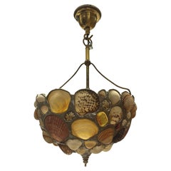 American Shell Grotto Pendant Light