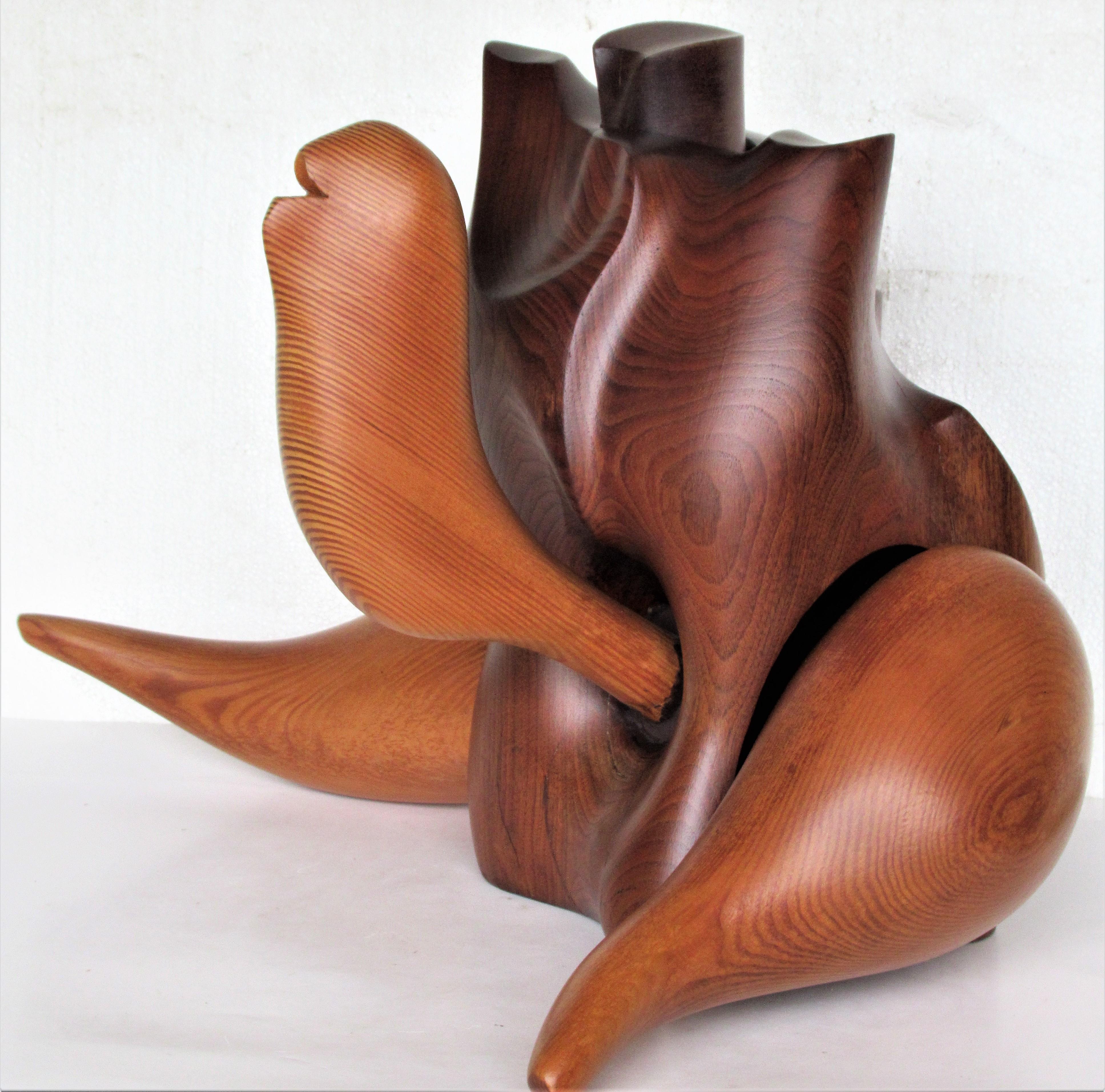 Wood American Studio Craft Art Teapot Sculpture 
