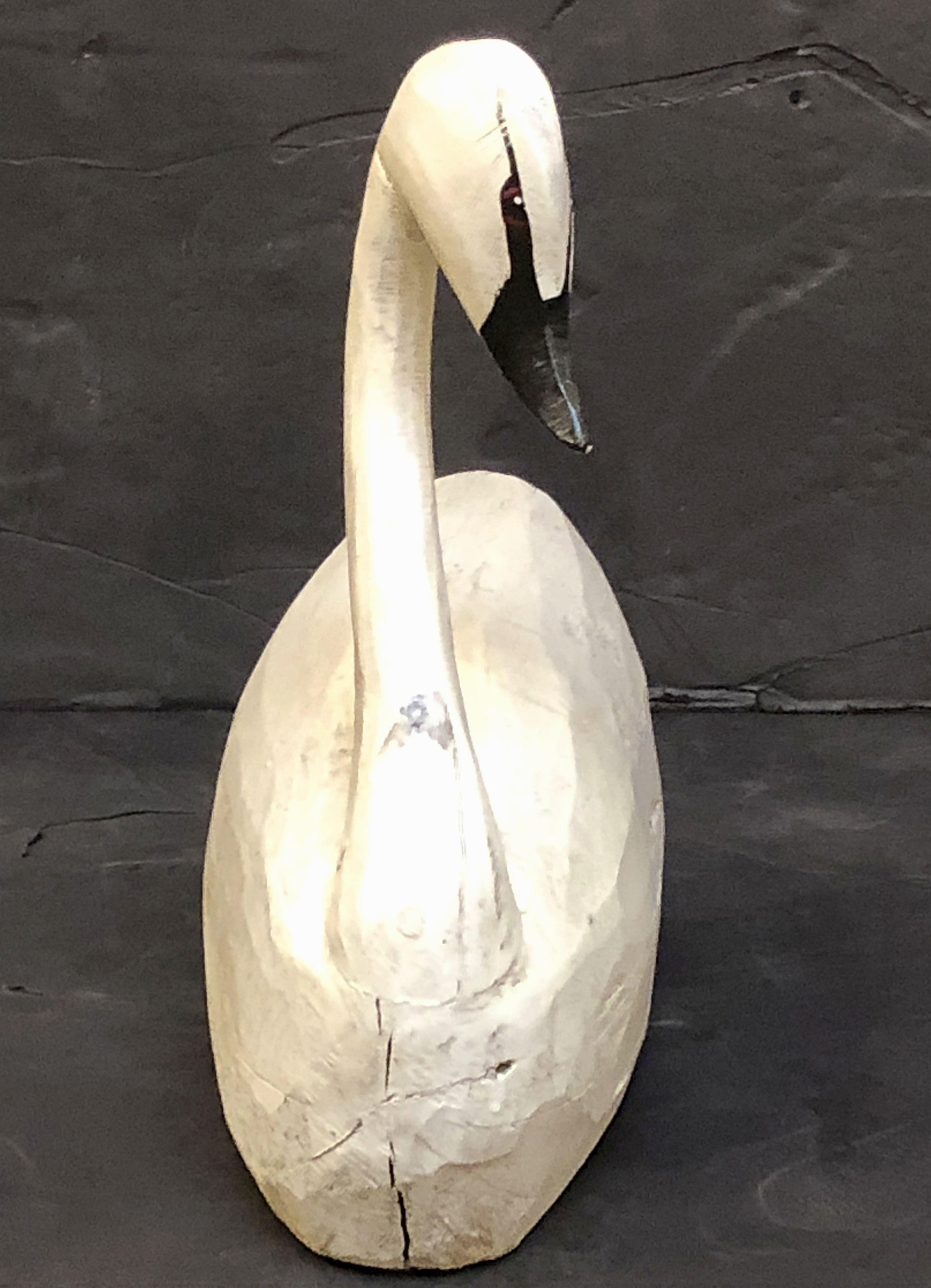 american swan app