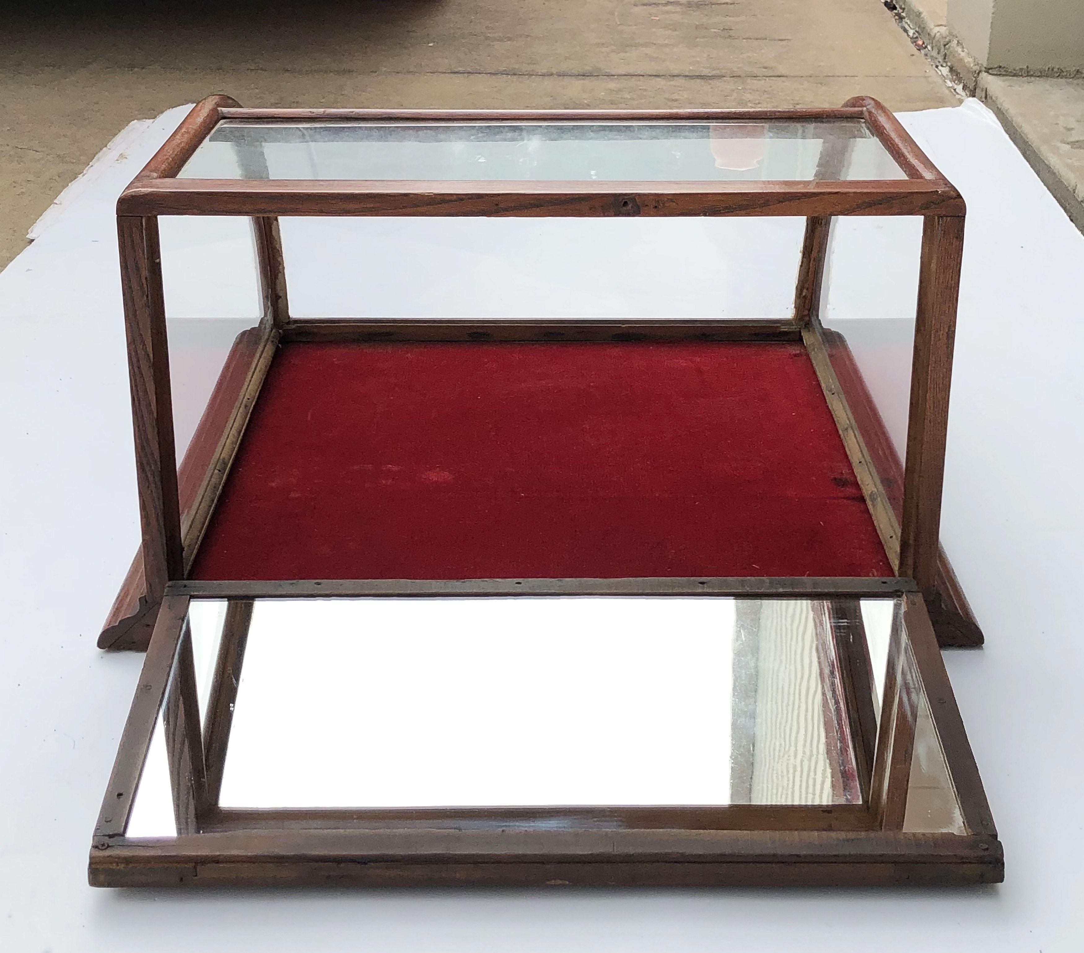 American Table Top Display Case or Vitrine 3
