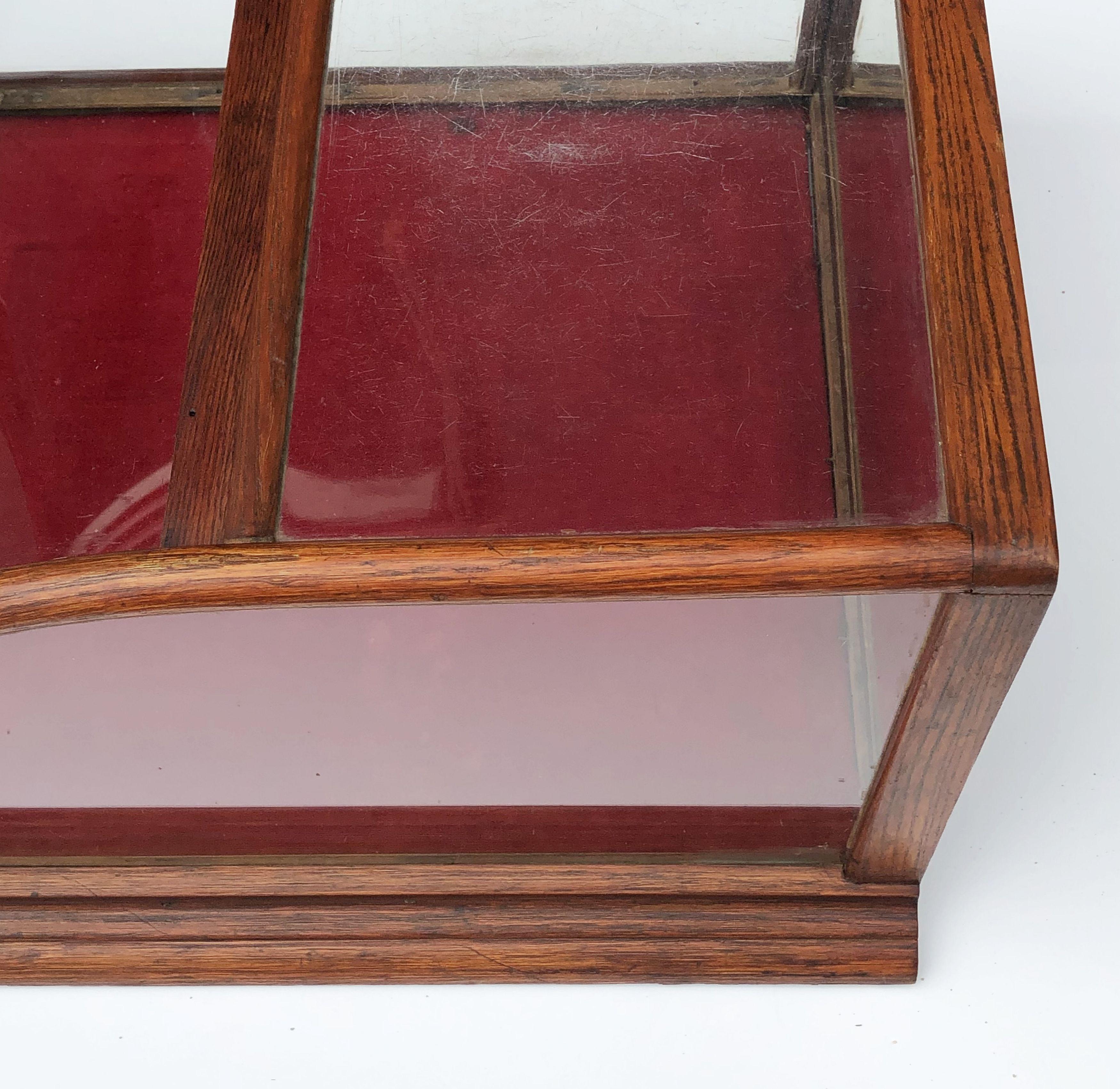 American Table Top Display Case or Vitrine 5