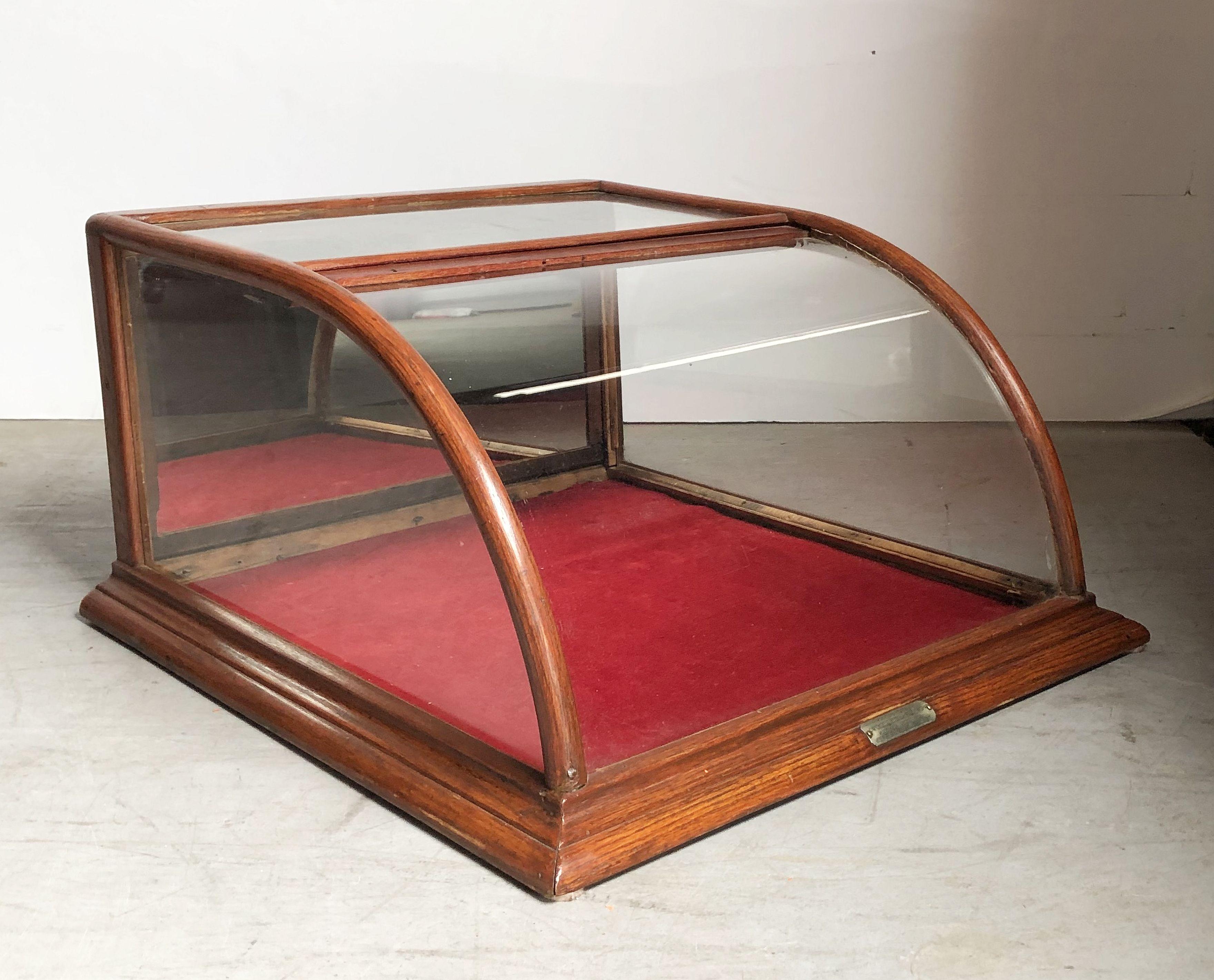 American Table Top Display Case or Vitrine 6