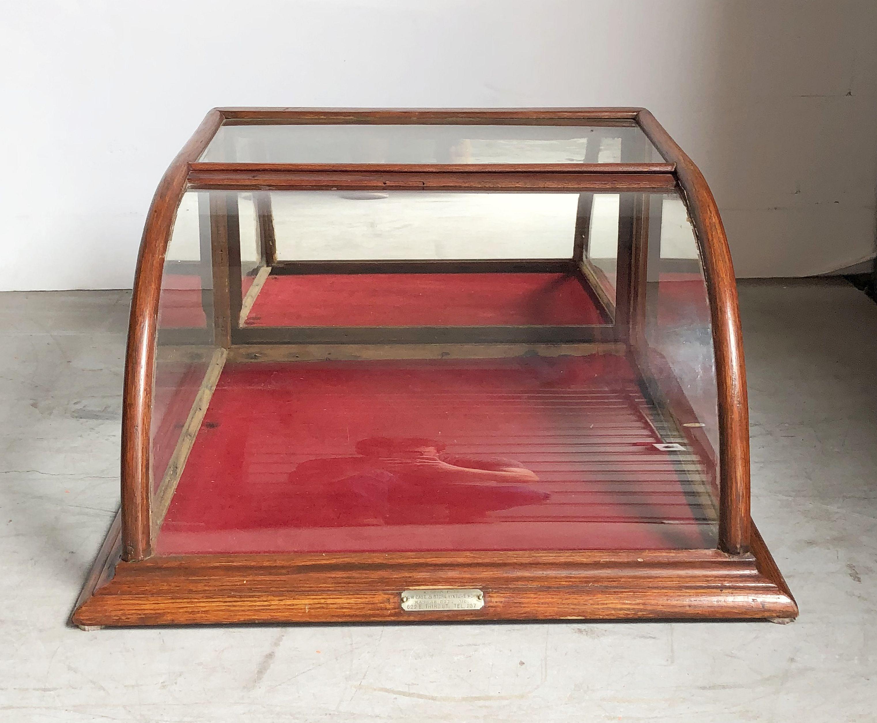 American Table Top Display Case or Vitrine 7