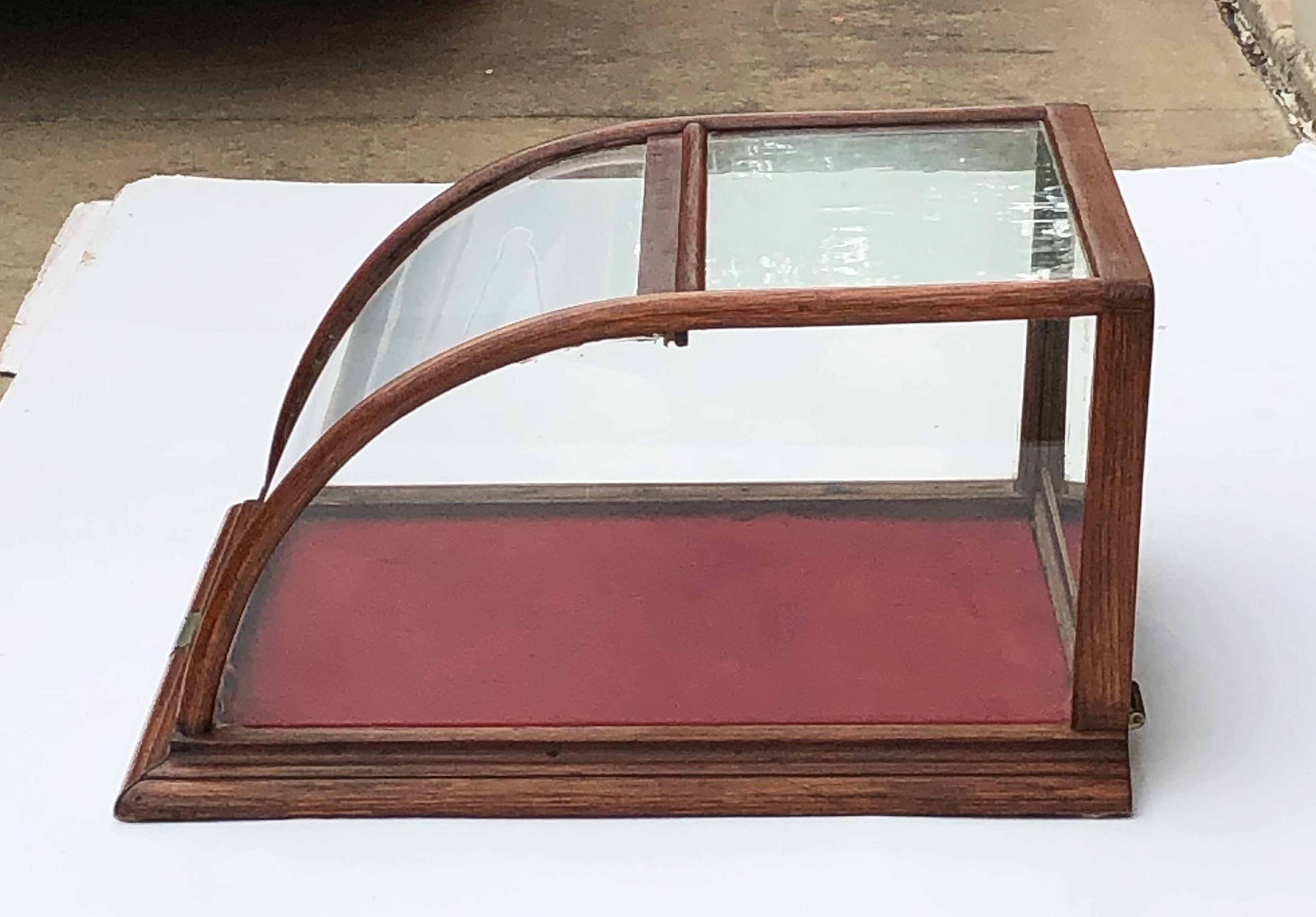 American Table Top Display Case or Vitrine 8