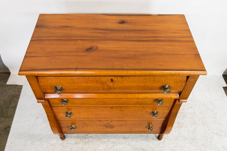 American Tiger Maple Chest For Sale at 1stDibs