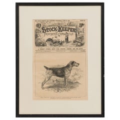 American Victorian Framed Print of an Airdale-Terrier