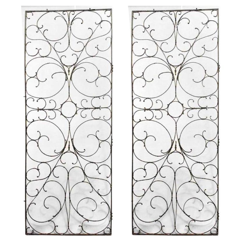 American Victorian Iron Scroll Gates