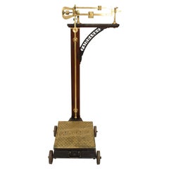 American Victorian Scale and Height Measure