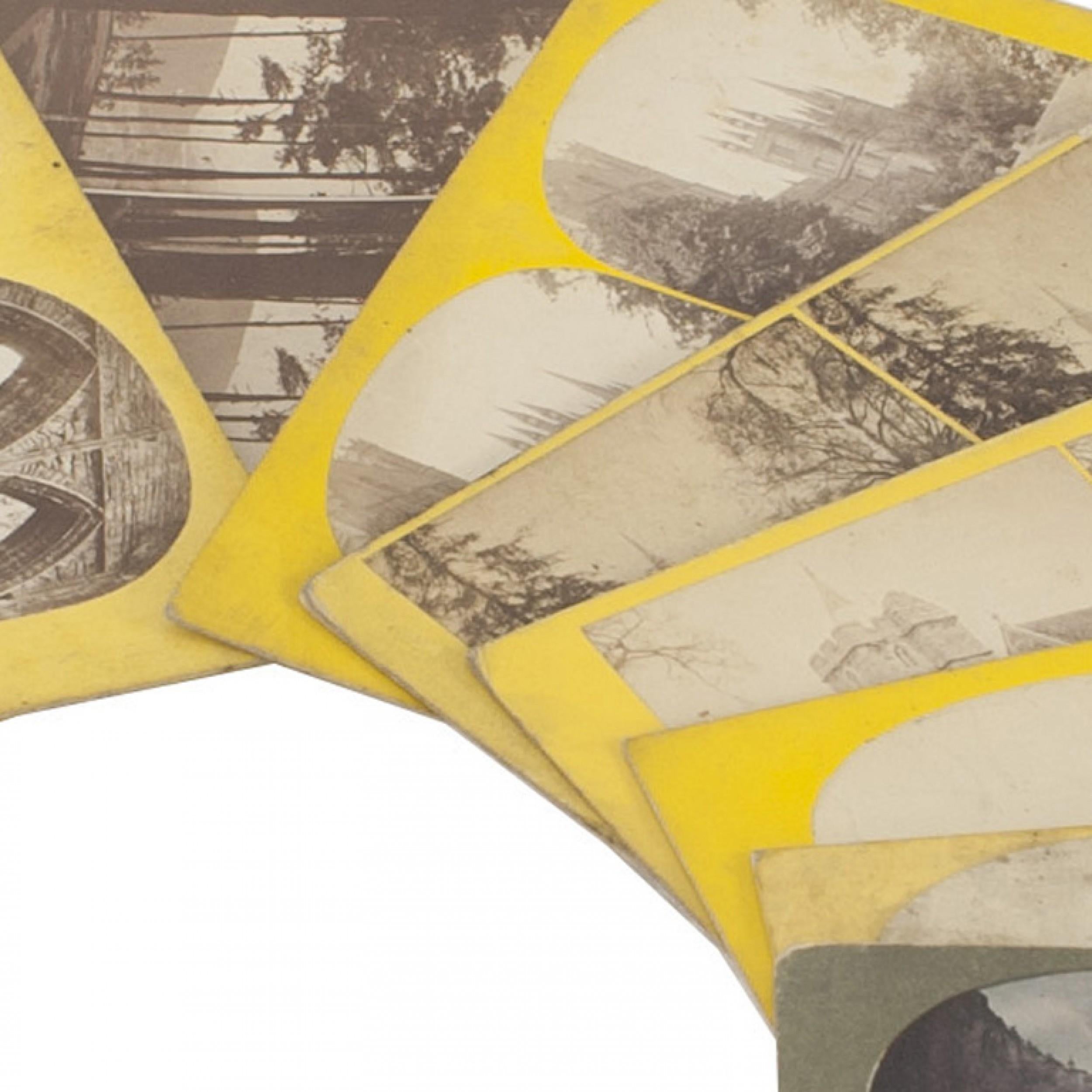Photographies stéréoscope victoriennes américaines Bon état - En vente à Queens, NY