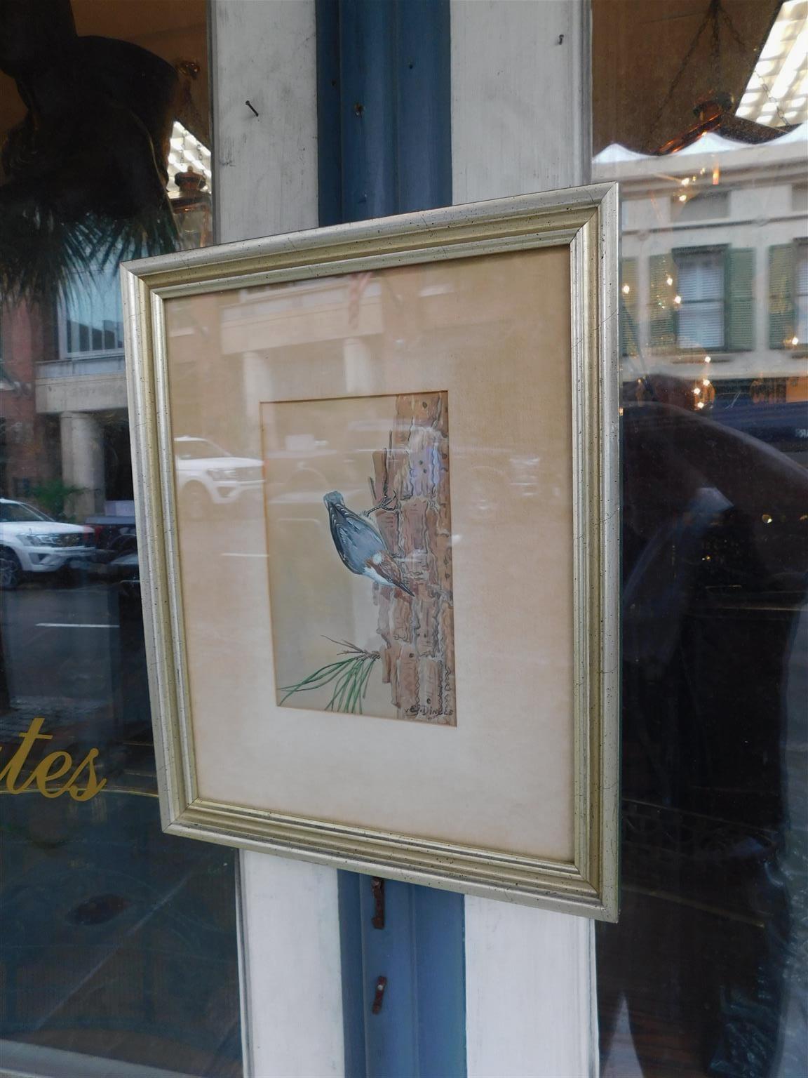 Hand-Crafted American Water Color Brown Headed Nuthatch Perched on Pine Tree E. Dingle C 1950 For Sale