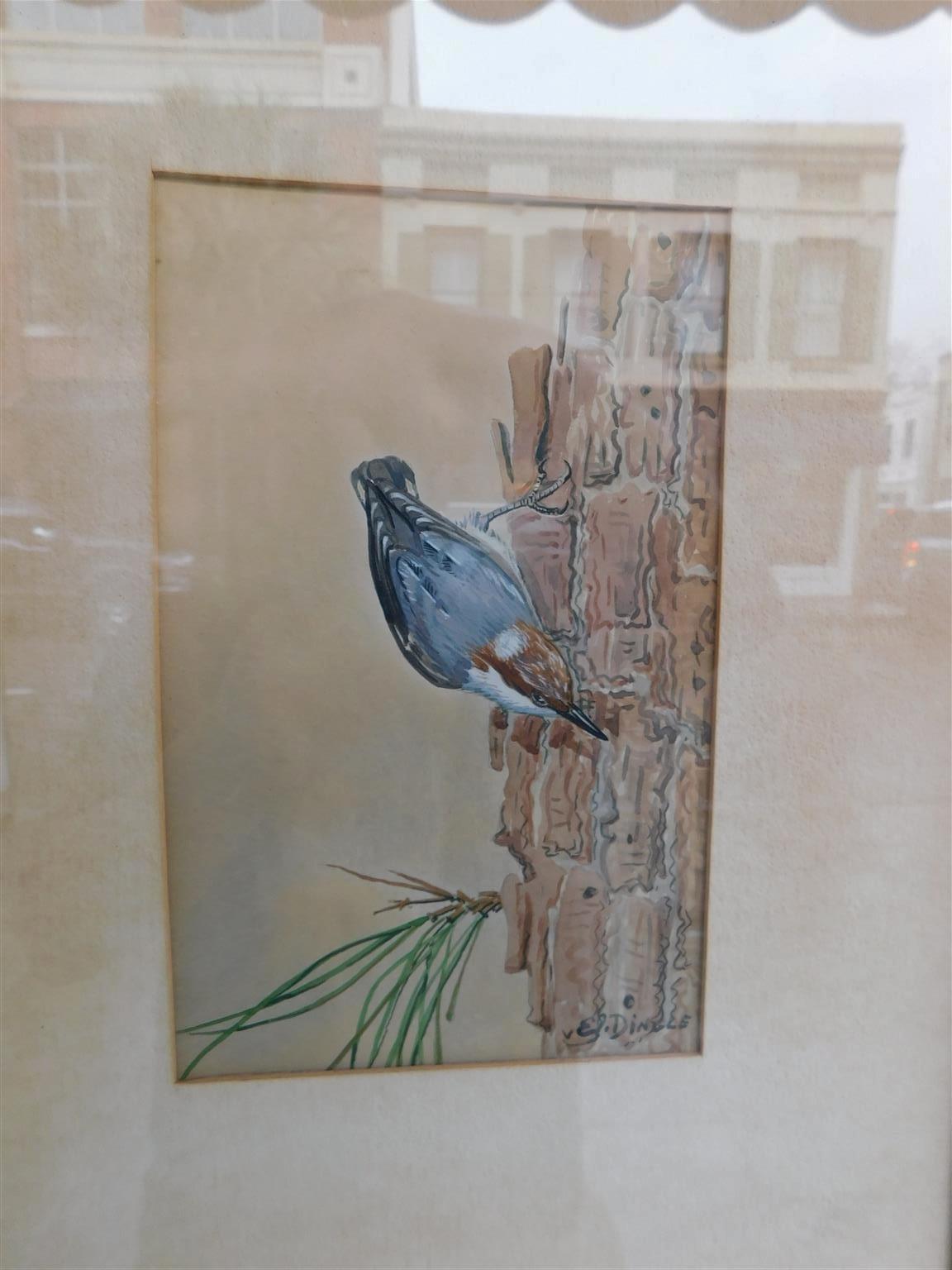 Fait main Aquarelle américaine de nuthatch à tête brune perchée sur un arbre de pin E. Dingle C 1950 en vente