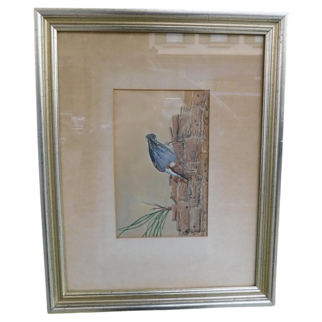 American Water Color Brown Headed Nuthatch Perched on Pine Tree E. Dingle C 1950 For Sale