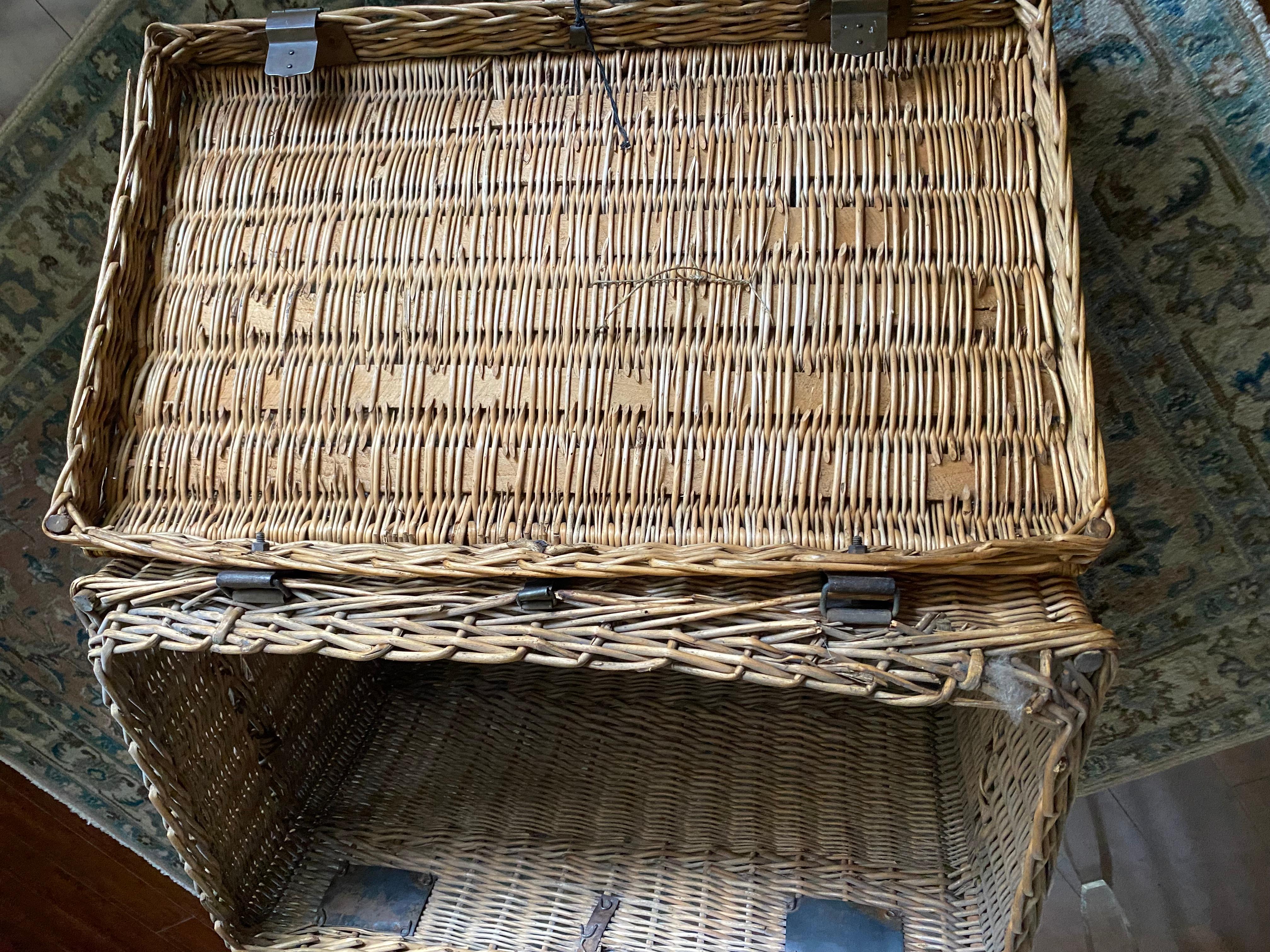 North American American Wicker Trunk