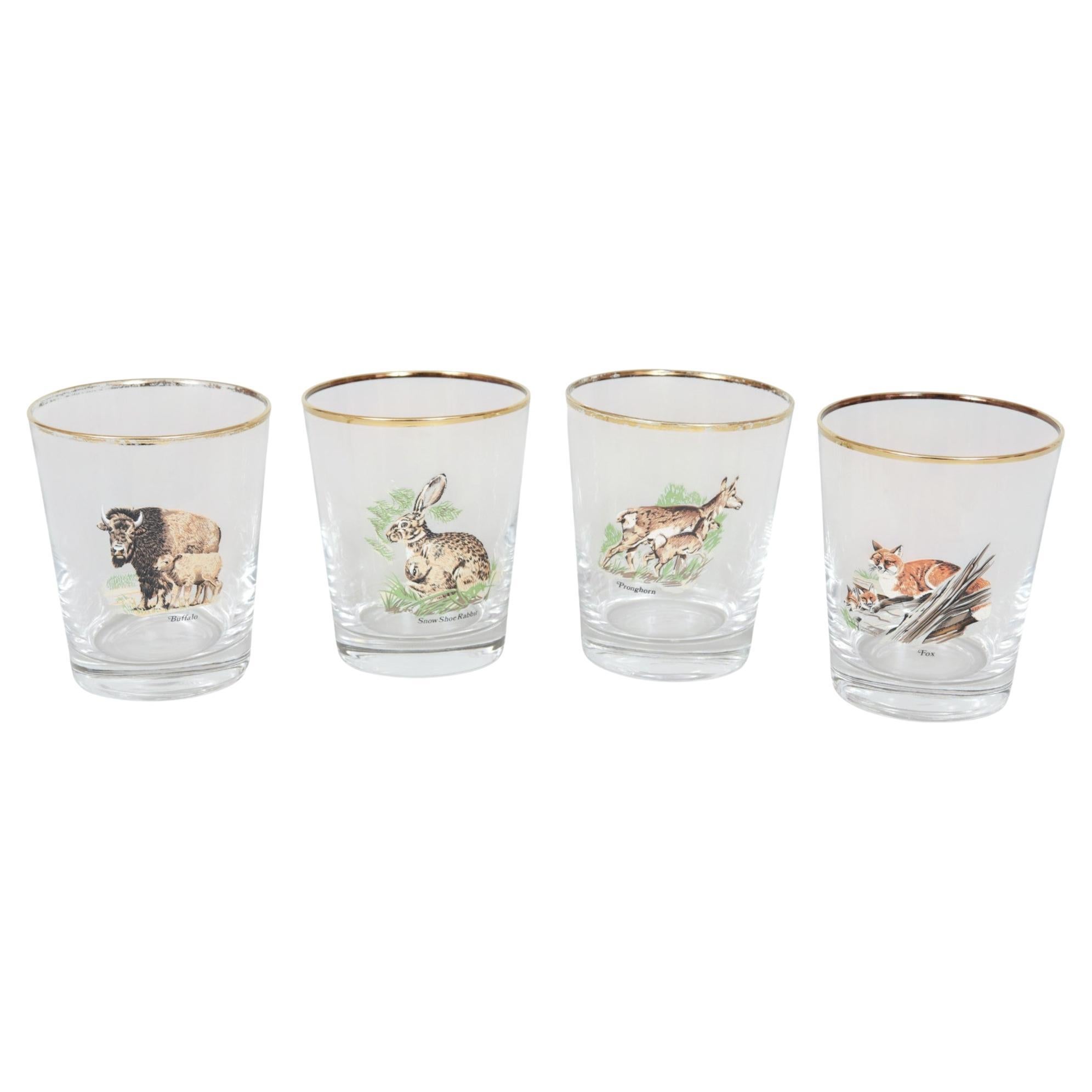 American Wildlife Glass Tumblers, Set of 4