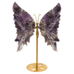 Papillon d'améthyste