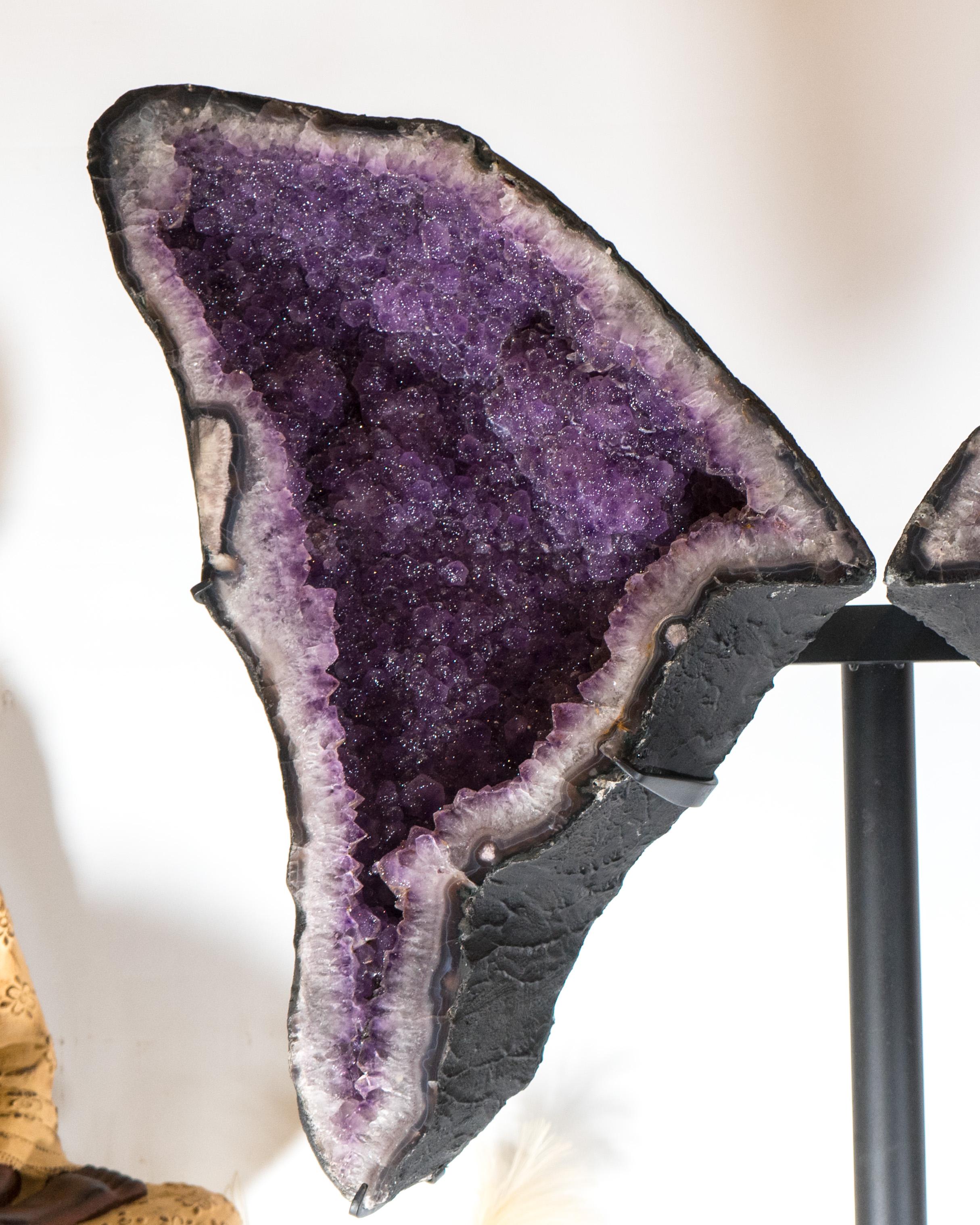 Amethyst-Schmetterlingsflügel-Geode mit seltenem natürlichem, glänzendem Zucker- Druzy- Amethyst (Brasilianisch) im Angebot