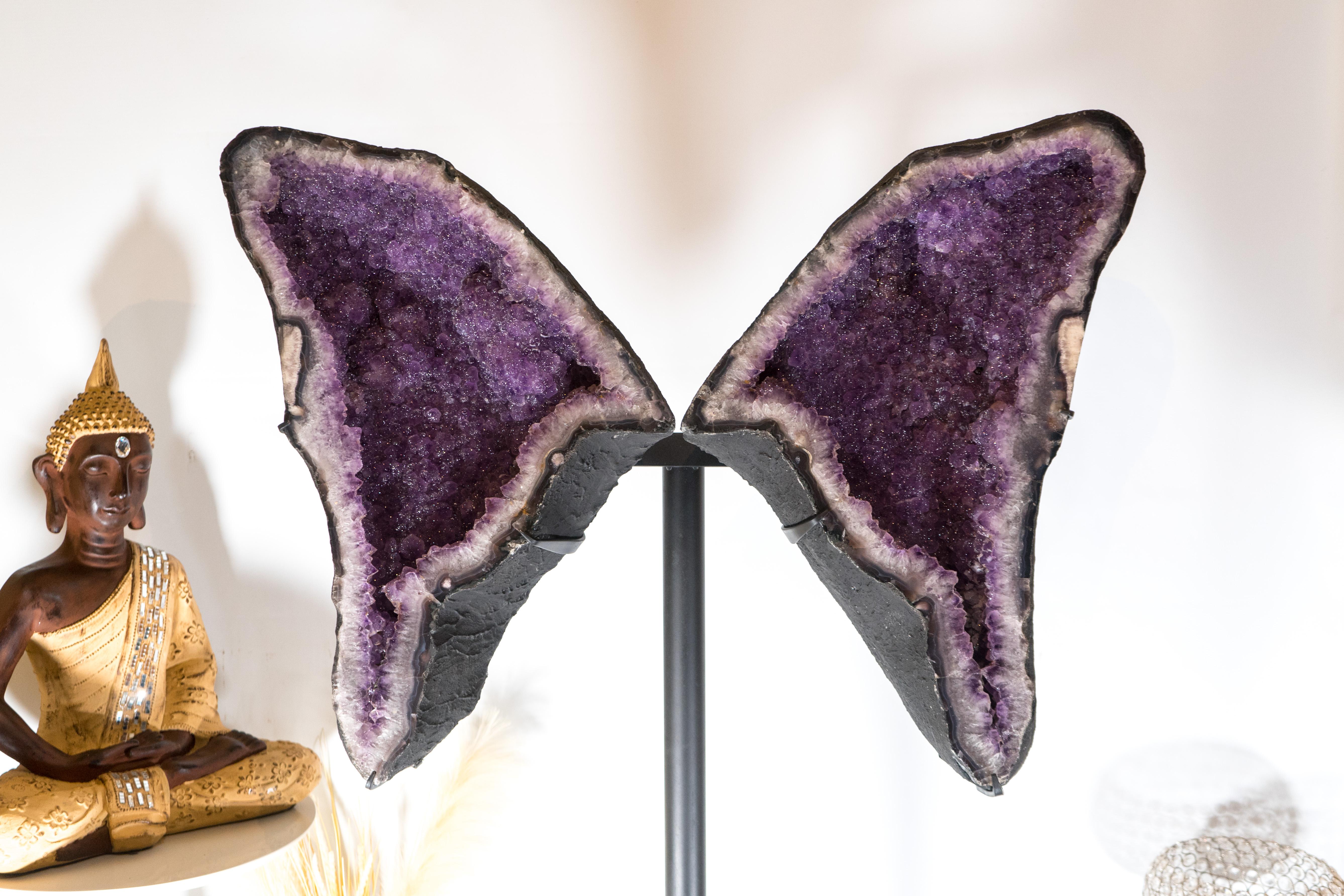 Amethyst-Schmetterlingsflügel-Geode mit seltenem natürlichem, glänzendem Zucker- Druzy- Amethyst im Zustand „Hervorragend“ im Angebot in Ametista Do Sul, BR