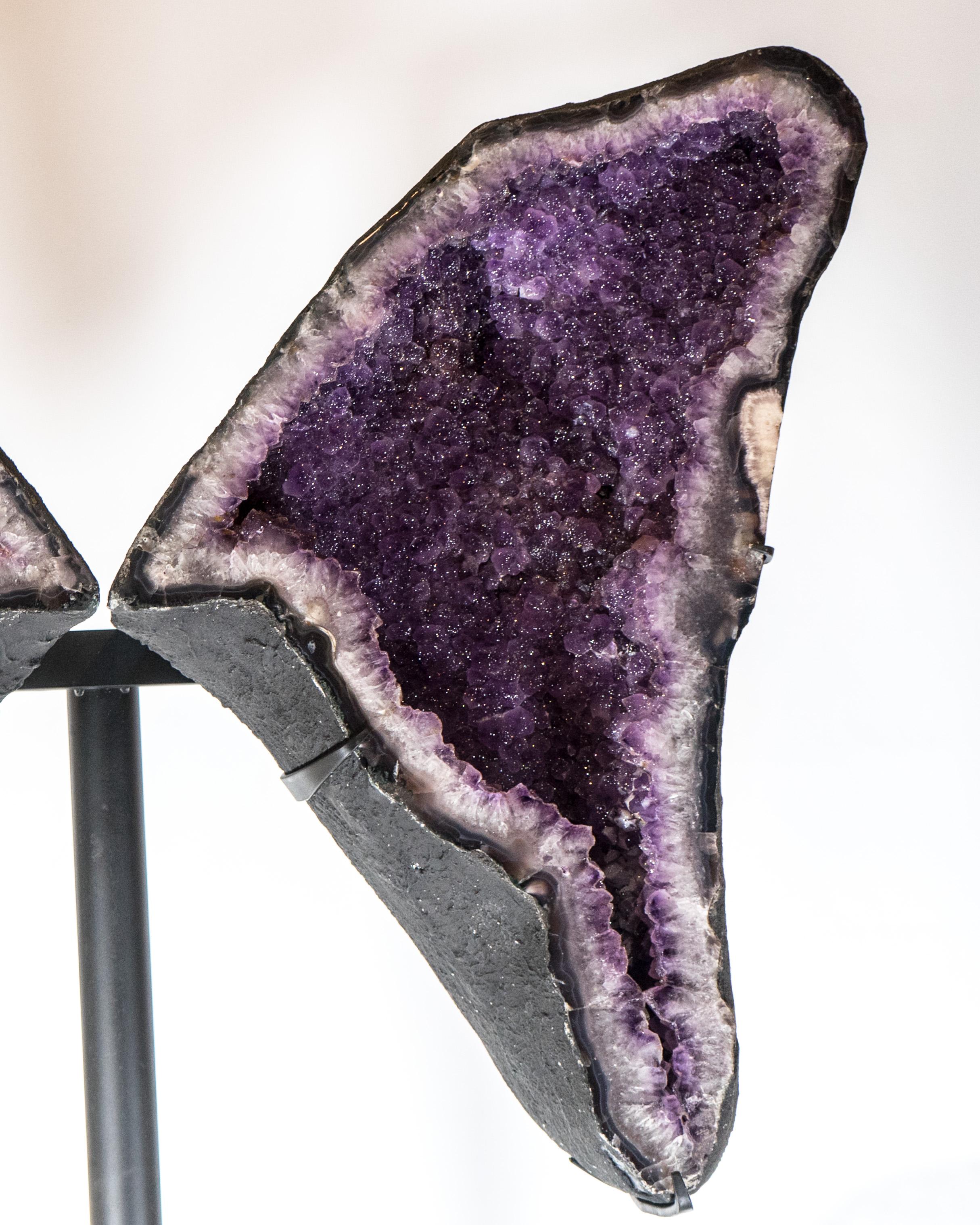 Amethyst-Schmetterlingsflügel-Geode mit seltenem natürlichem, glänzendem Zucker- Druzy- Amethyst (21. Jahrhundert und zeitgenössisch) im Angebot