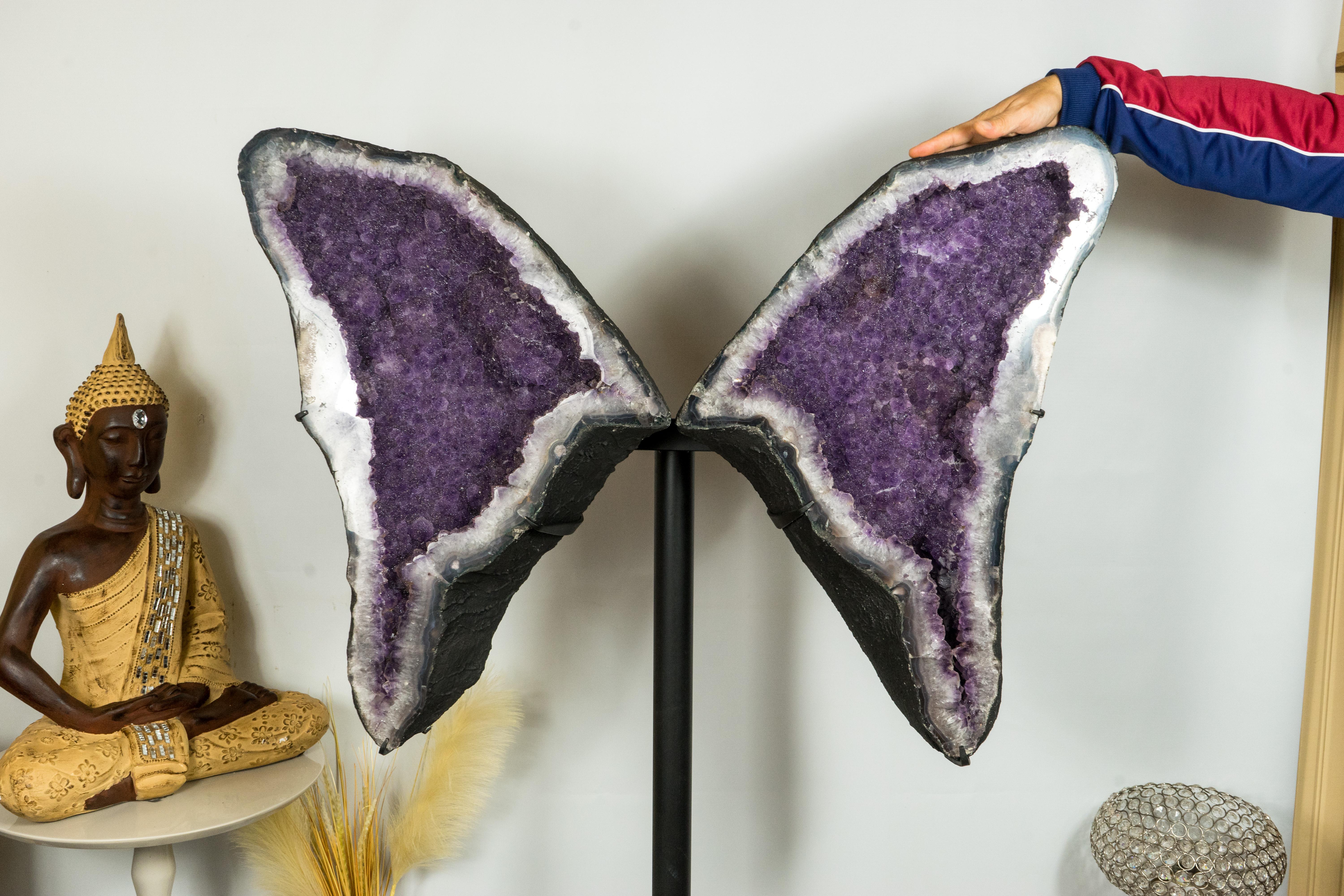 Brazilian Amethyst Butterfly Wings Geode with Rare Natural Shiny Sugar Druzy Amethyst For Sale