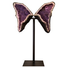 Amethyst Butterfly Wings Geode with Rare Natural Shiny Sugar Druzy Amethyst