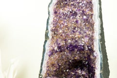 Amethyst Cathedral Geode with Rare Bi-Color Druzy Formation