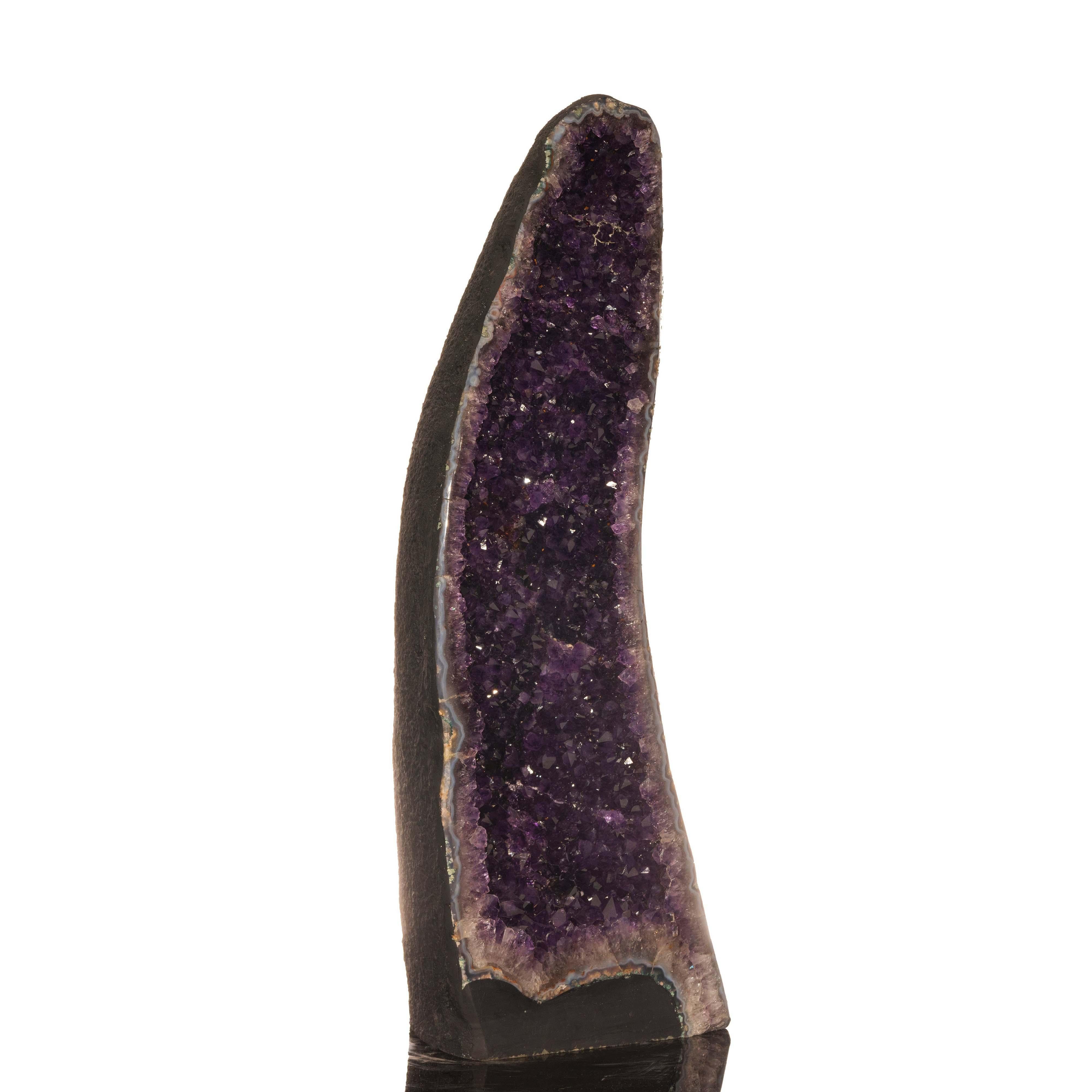 This Brazilian home decor piece with serious presence boasts a glimmering plethora of purple-drenched amethyst crystals contained within a sinuous stabilized cathedral geode. A pale rim of blue agate banding accents the deep purple. This will make a