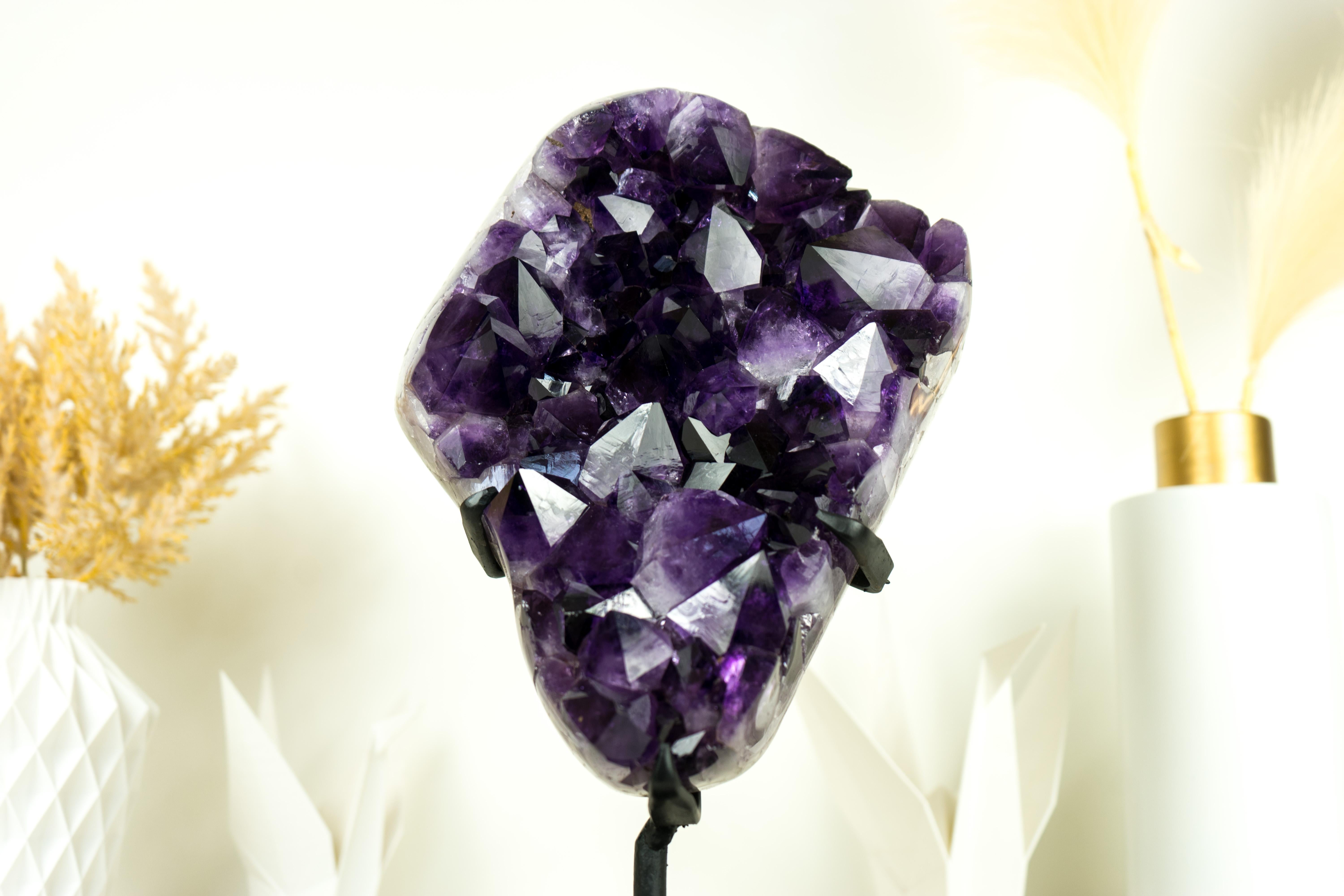 Amethyst Cluster with Gallery Grade AAA Dark Purple Amethyst For Sale 3