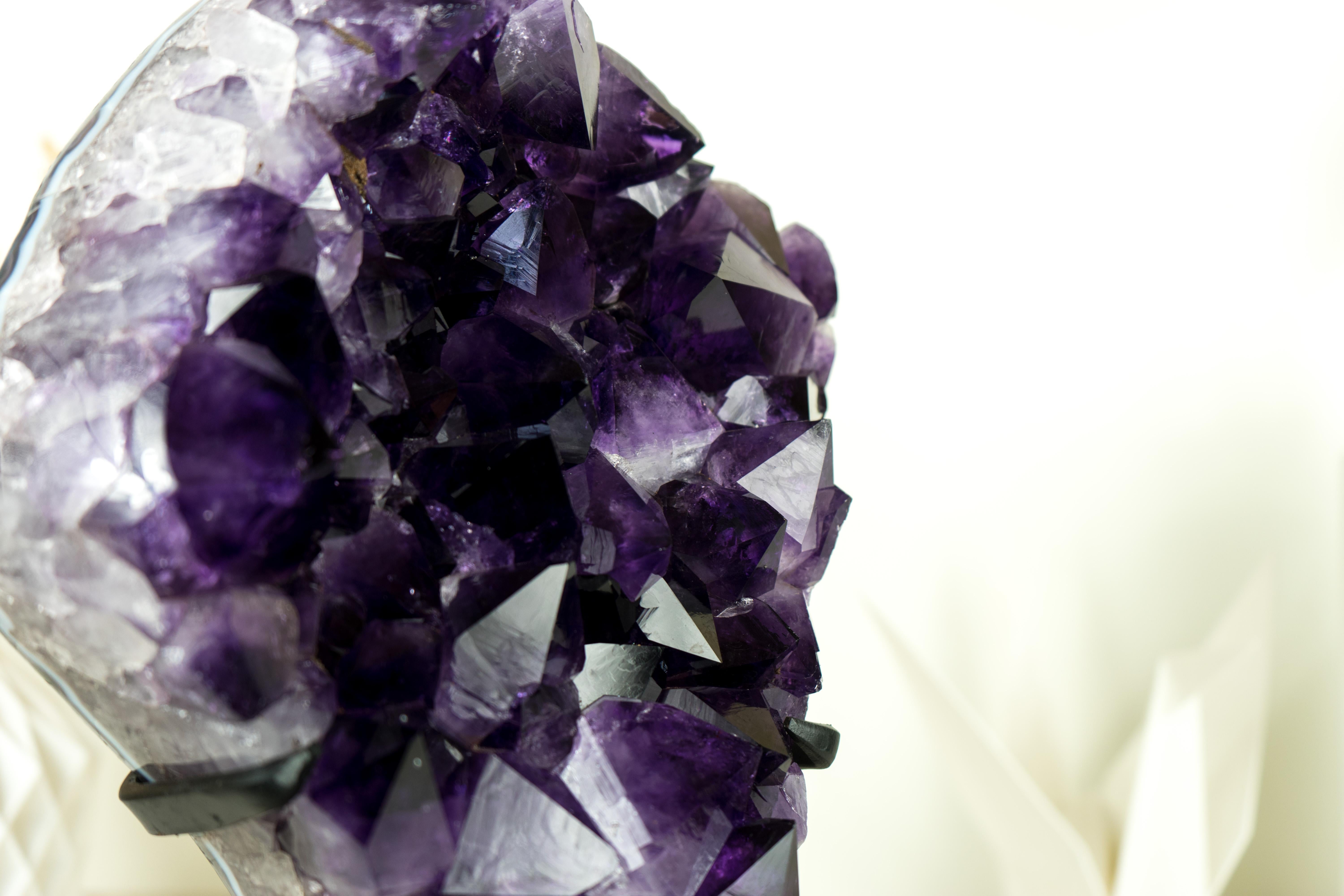Amethyst Cluster with Gallery Grade AAA Dark Purple Amethyst In Excellent Condition For Sale In Ametista Do Sul, BR