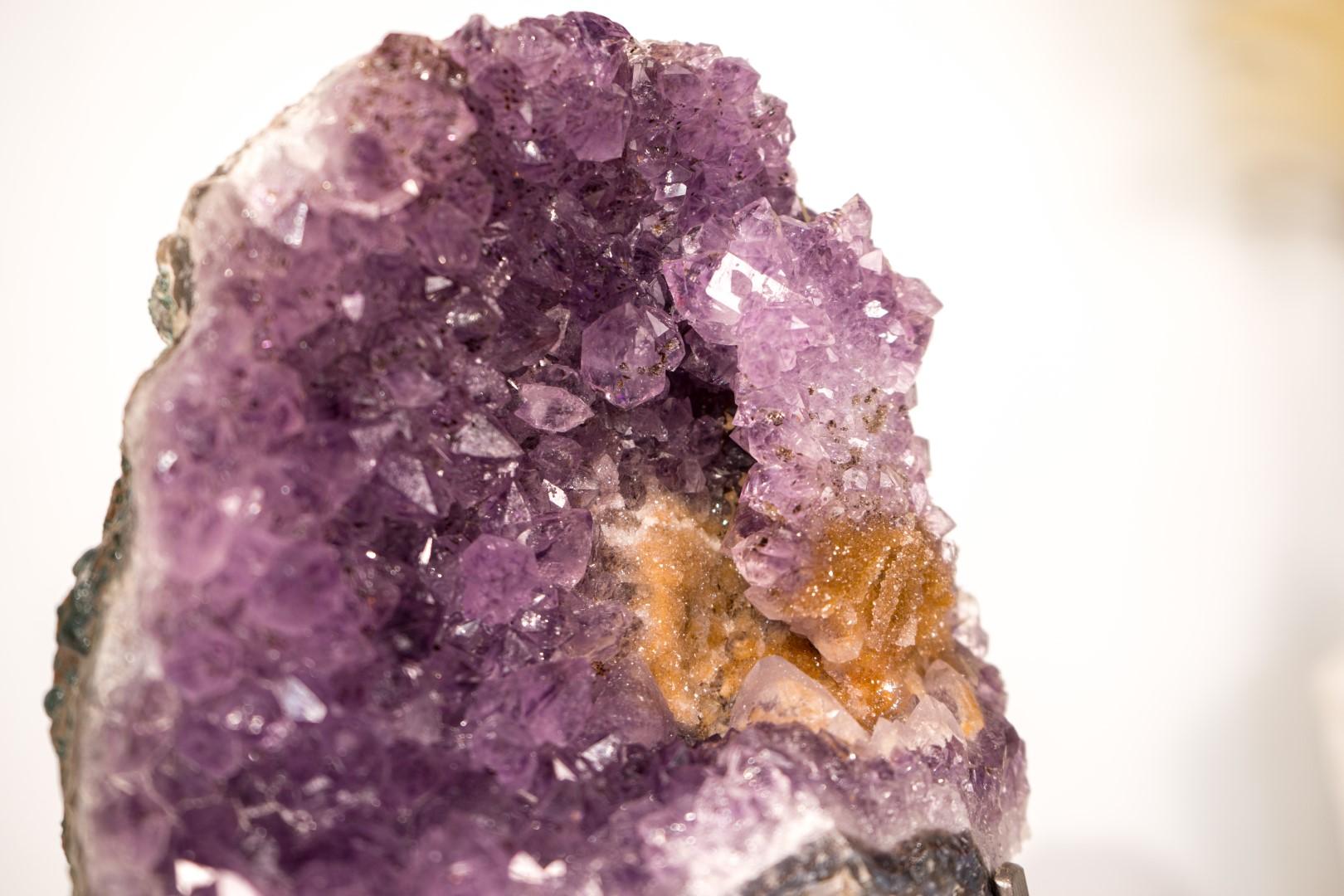 Cluster di ametista con rara placca di rosetta di ametista e goethite dorata in vendita 7