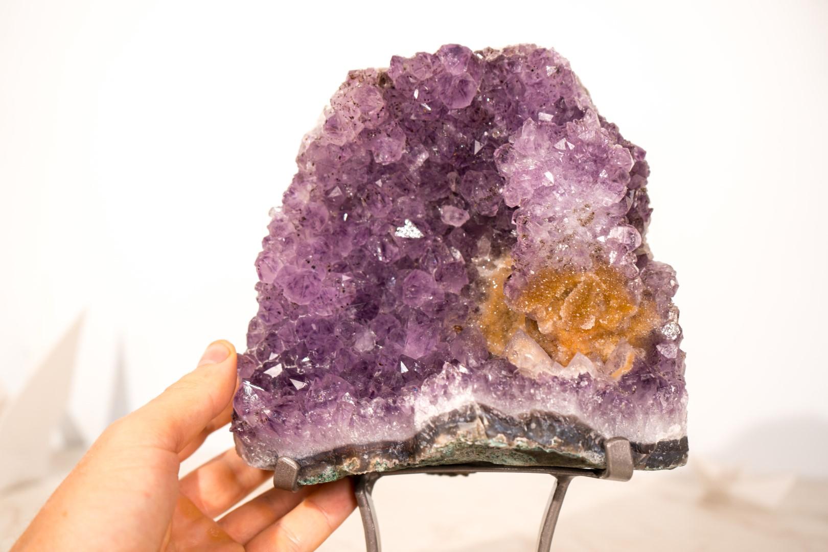 Cluster di ametista con rara placca di rosetta di ametista e goethite dorata in vendita 9